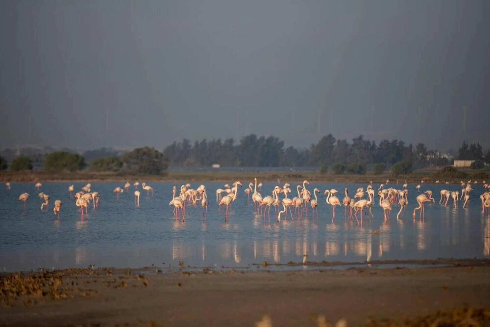 Captivating Lake & Oceanview Getaway House