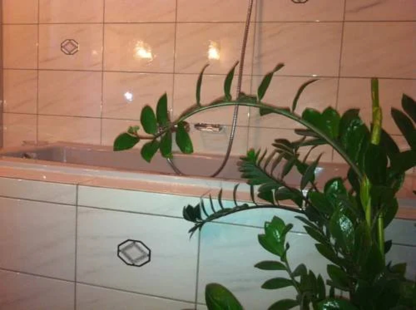 Wellnesspension Waldesruh