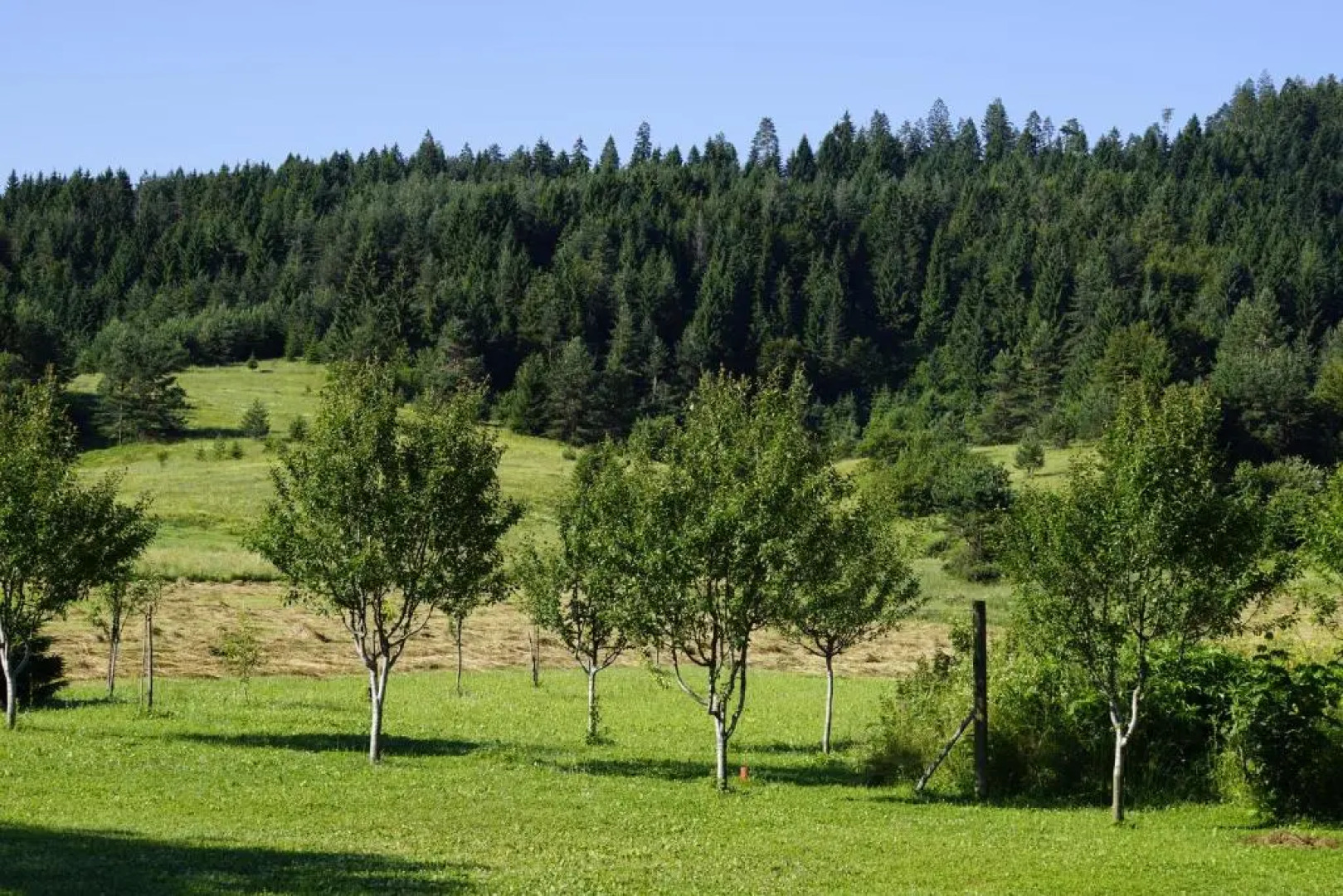 Holiday Home Vukovic