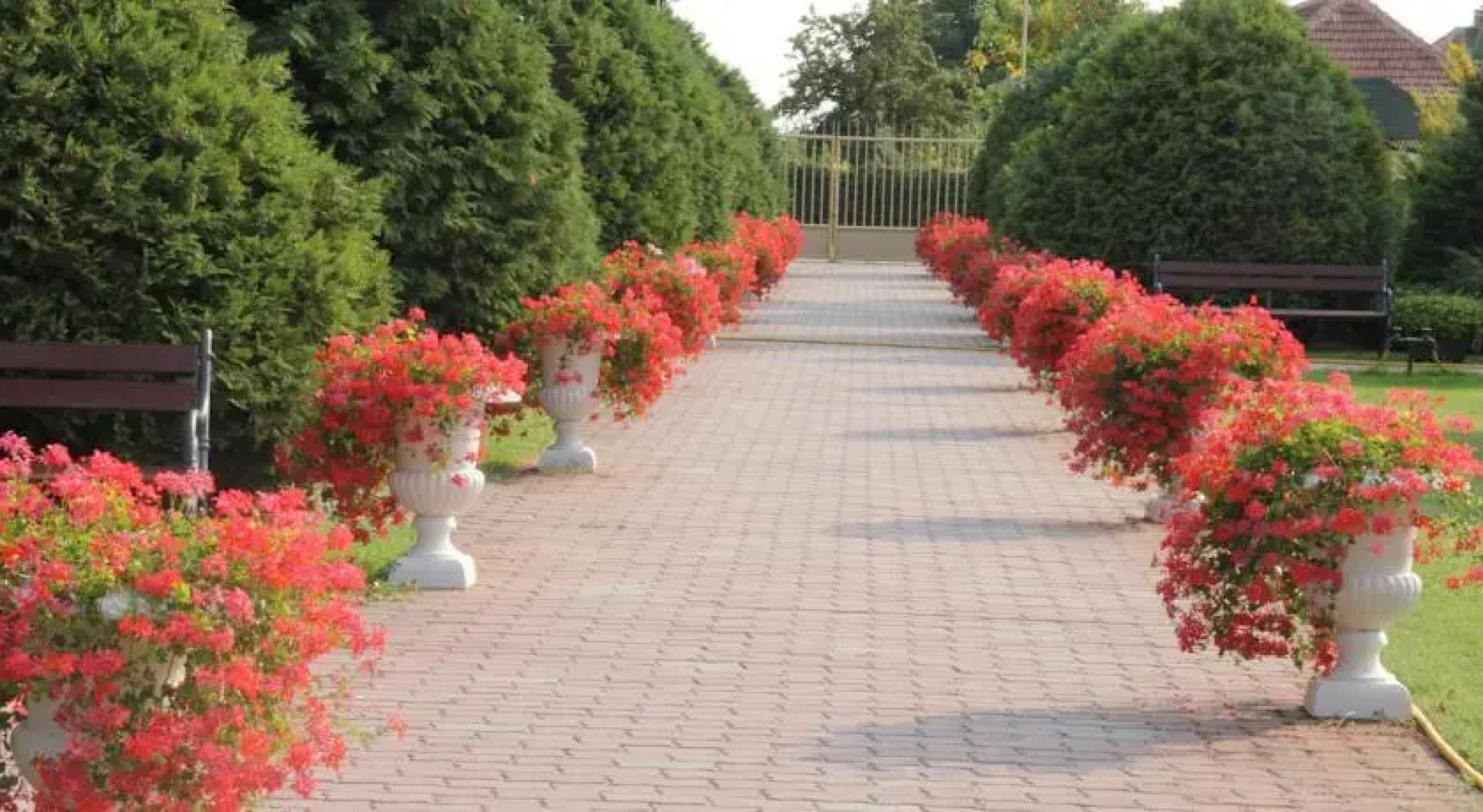 T.G.-Virágdekor Ifjúsági Szálló