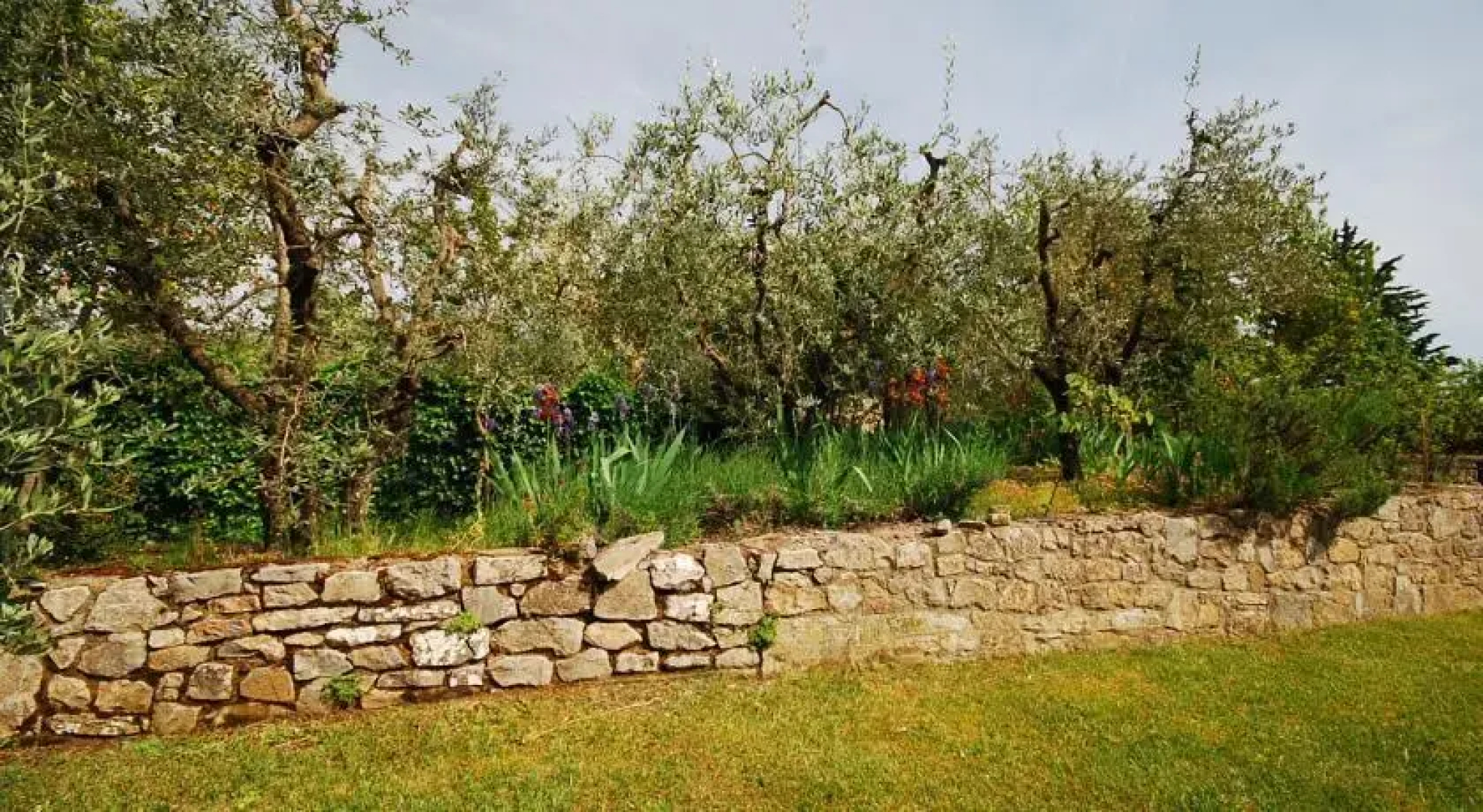 Castagnoli 1