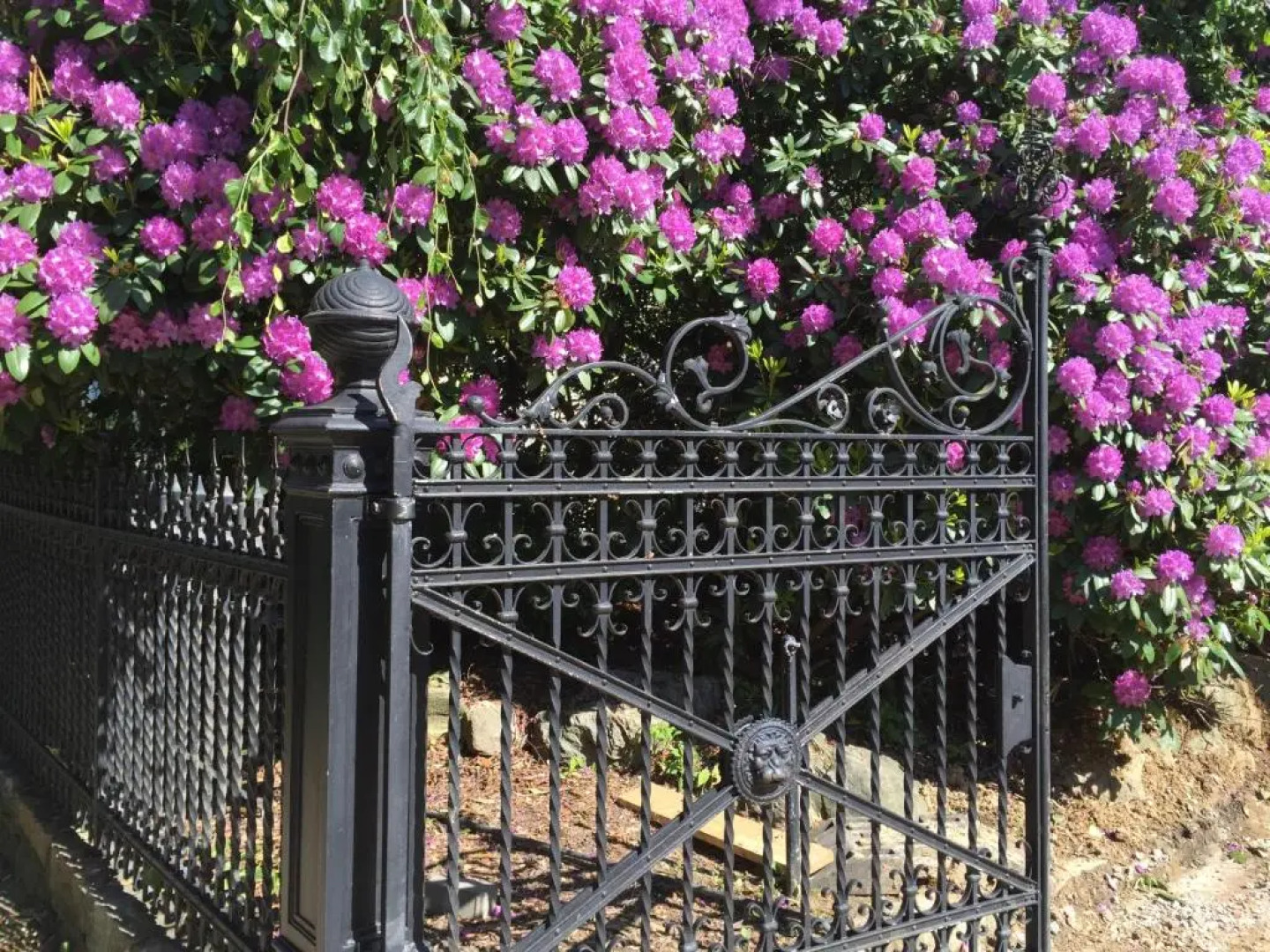 Ferienwohnung Wrangelstrasse 21a