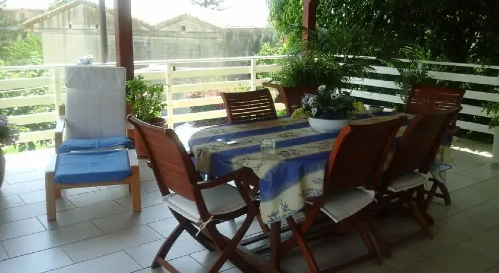 White and Blue Holidays