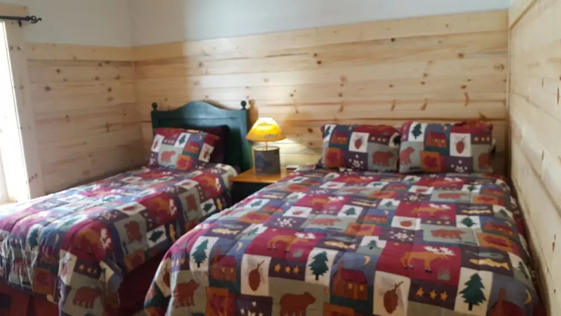 Wild Skies Cabin Rentals in Craig