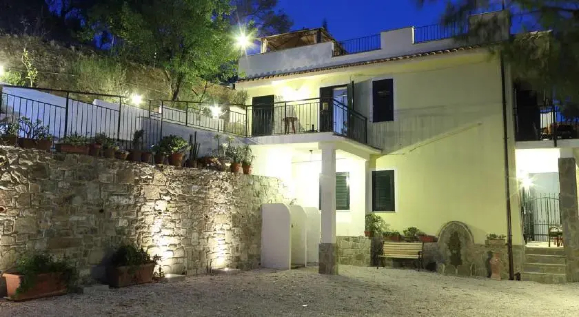 La gatta del cilento