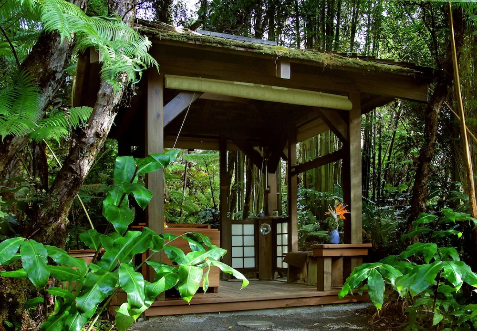 Volcano Rainforest Retreat