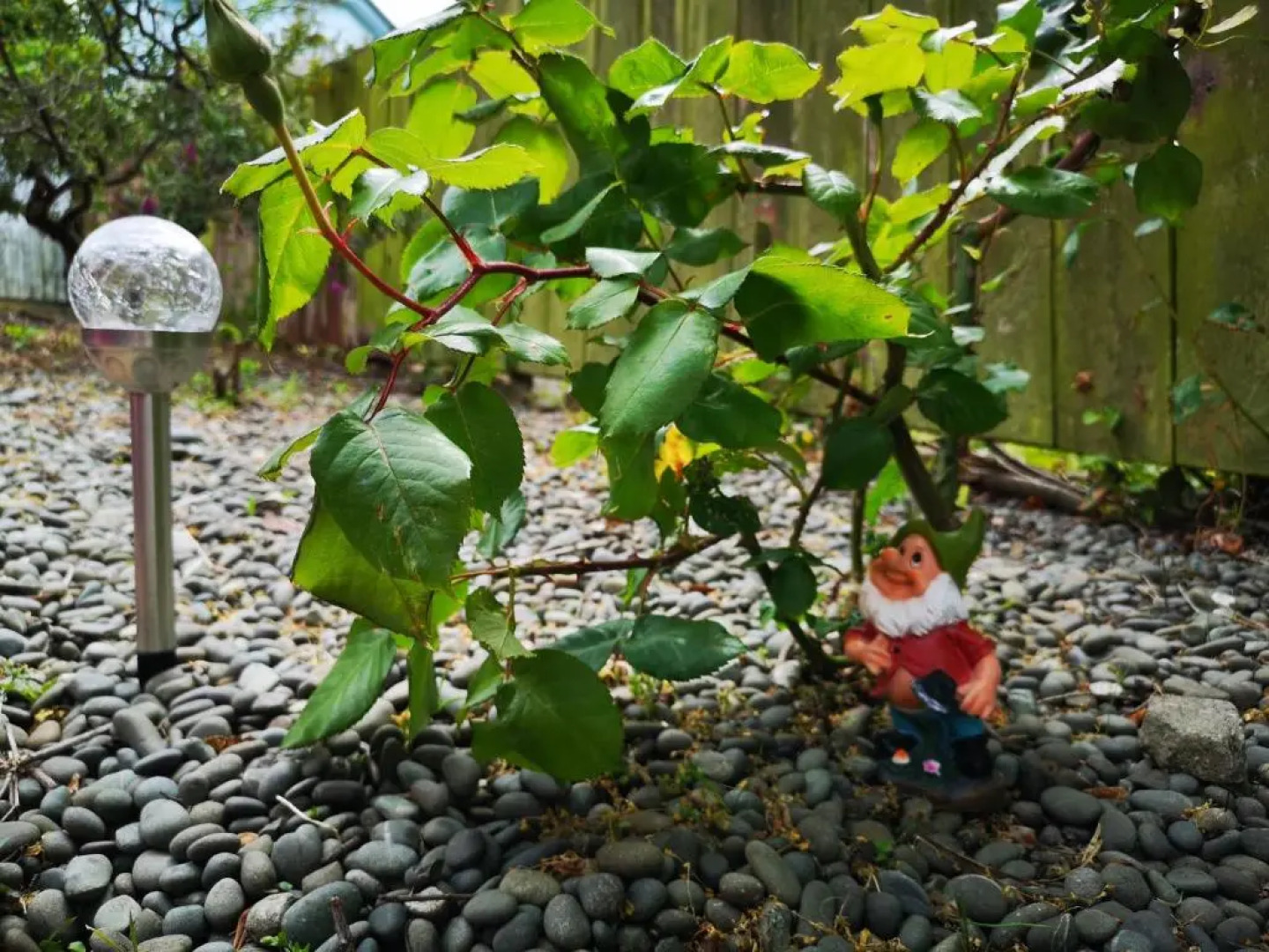 Hello Seaview! 4 BRs House in Central Location!