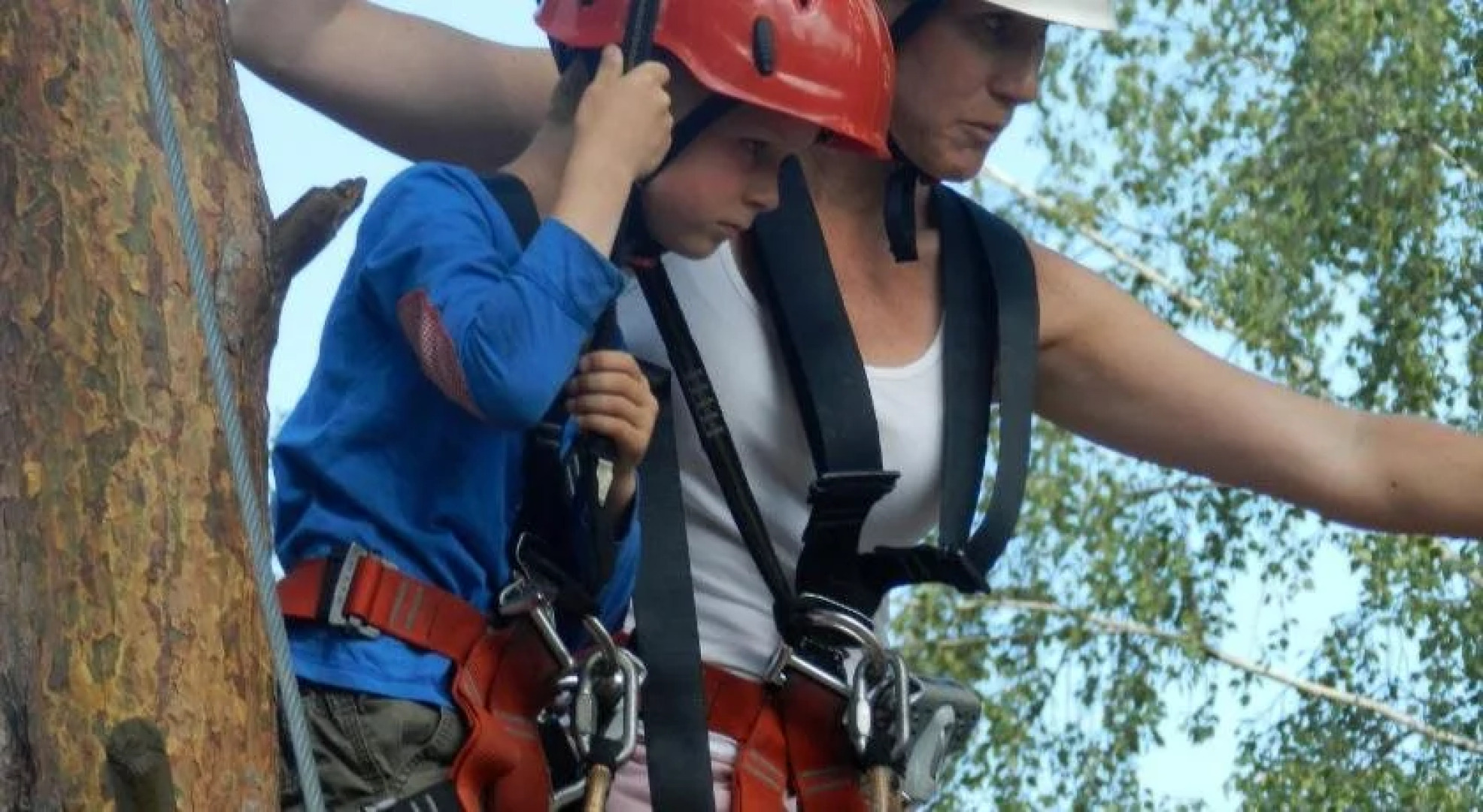 Nils Holgerssons Värld