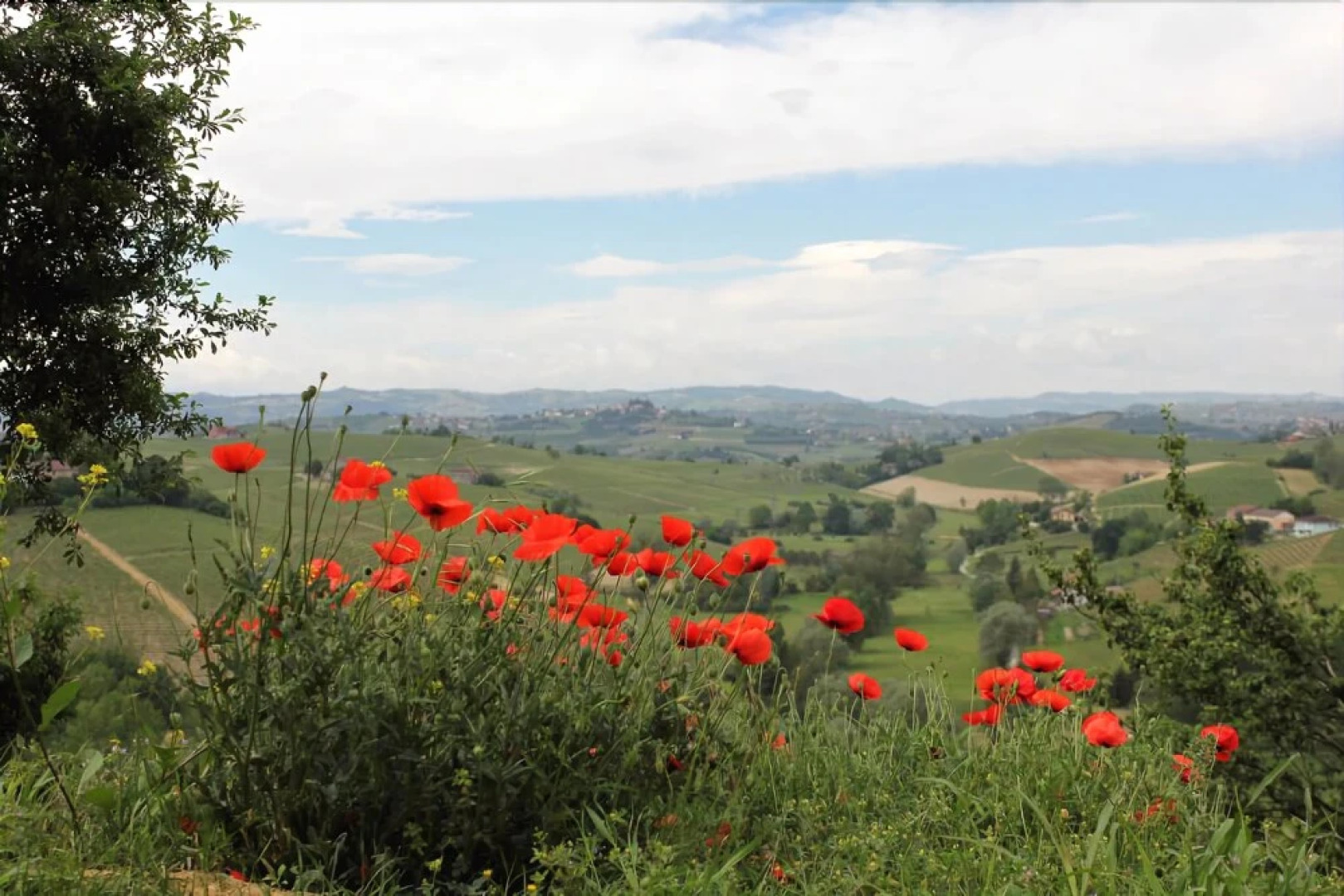 Cascina Raggio Di Sole B&B