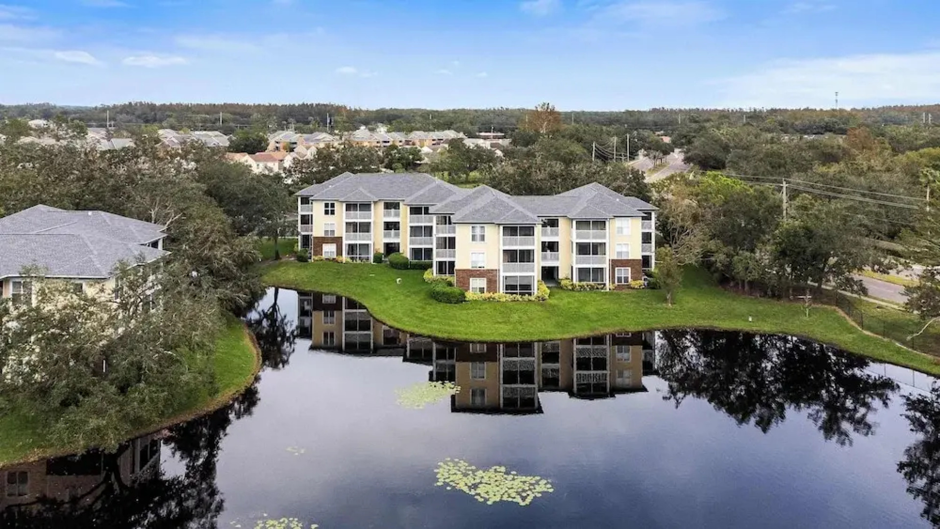 The Urban Oasis Serene Views!