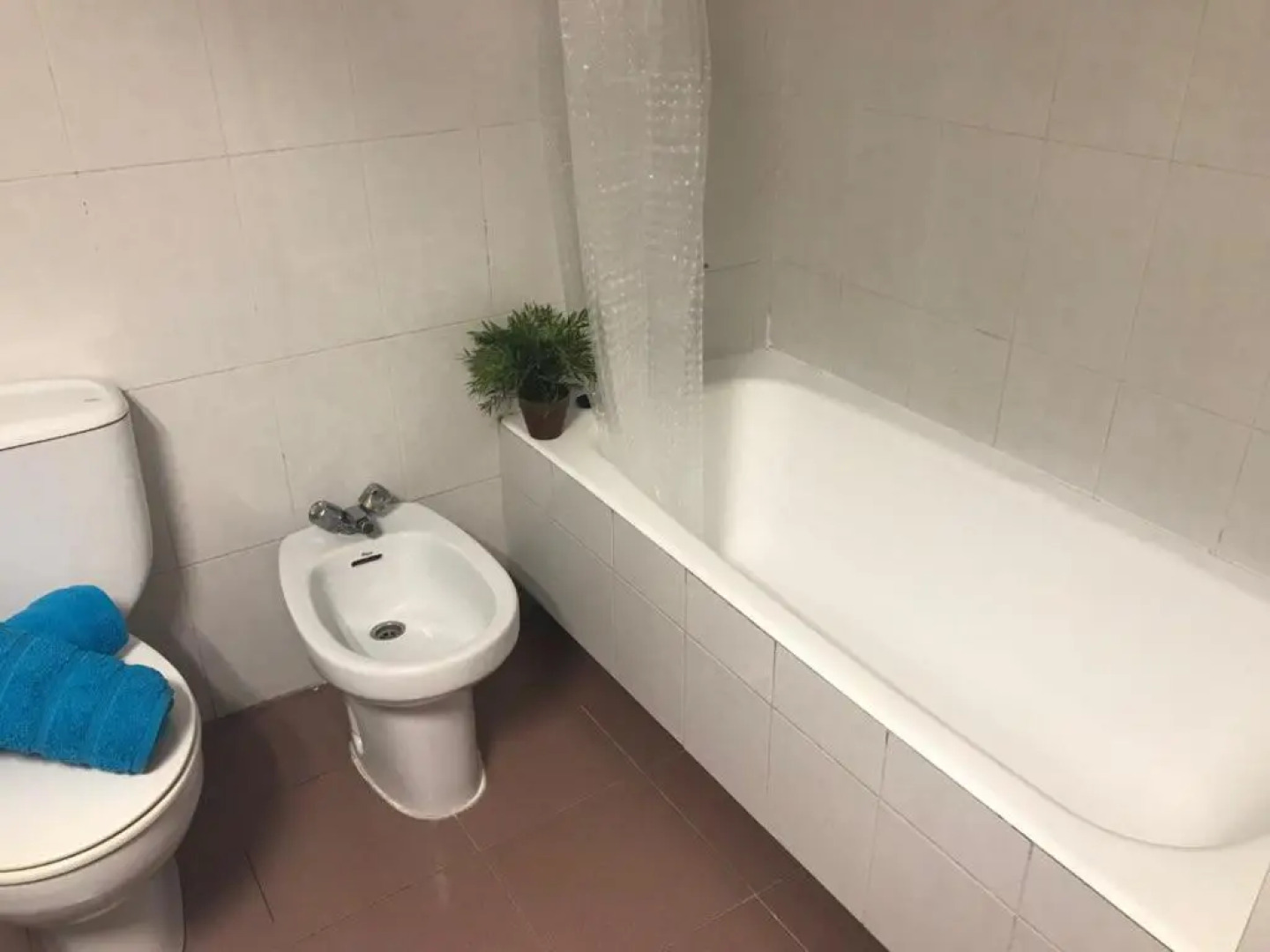 Modern Homely Beach Side Apartment