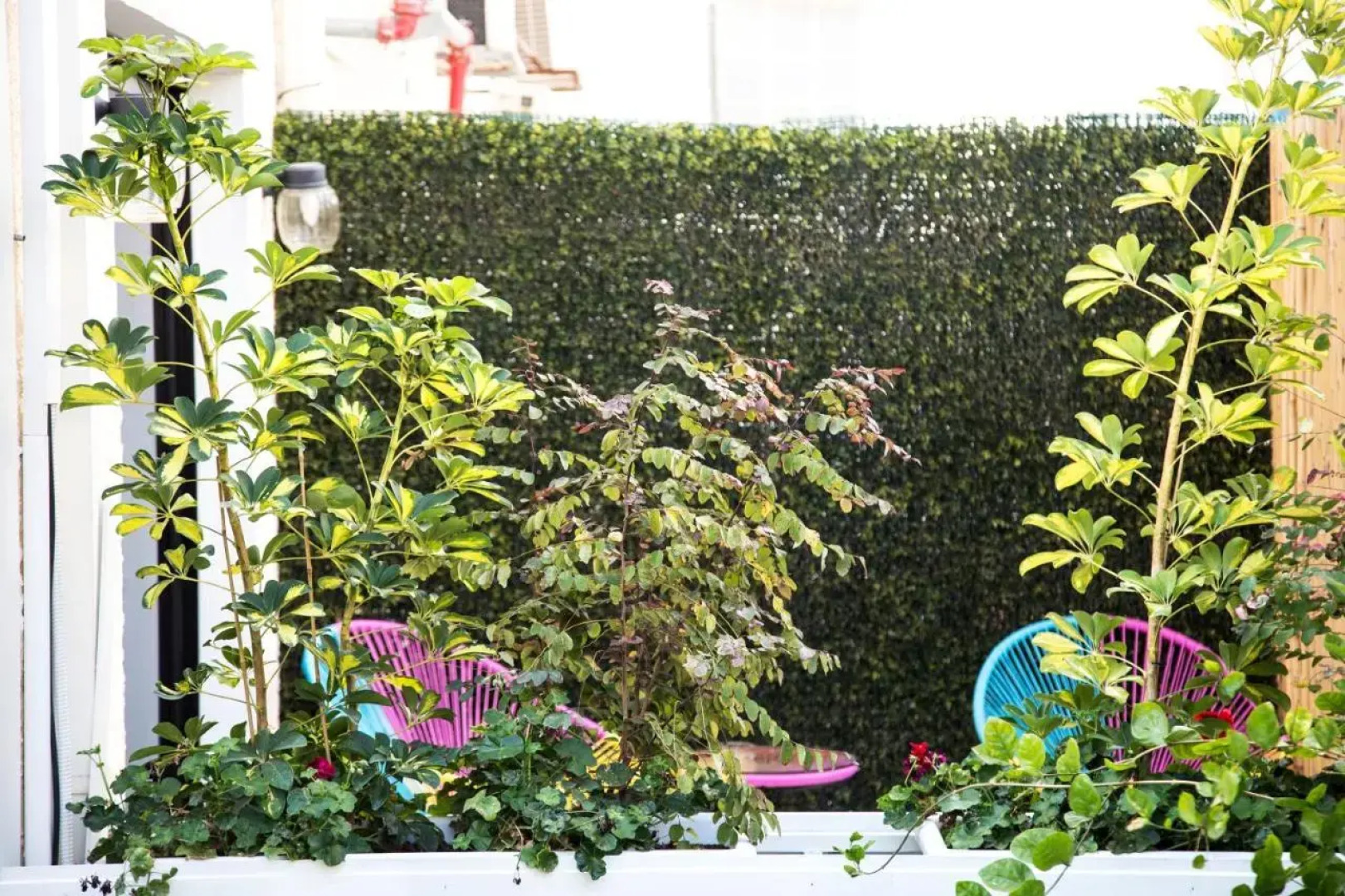 Shtarkman Erna Hotel