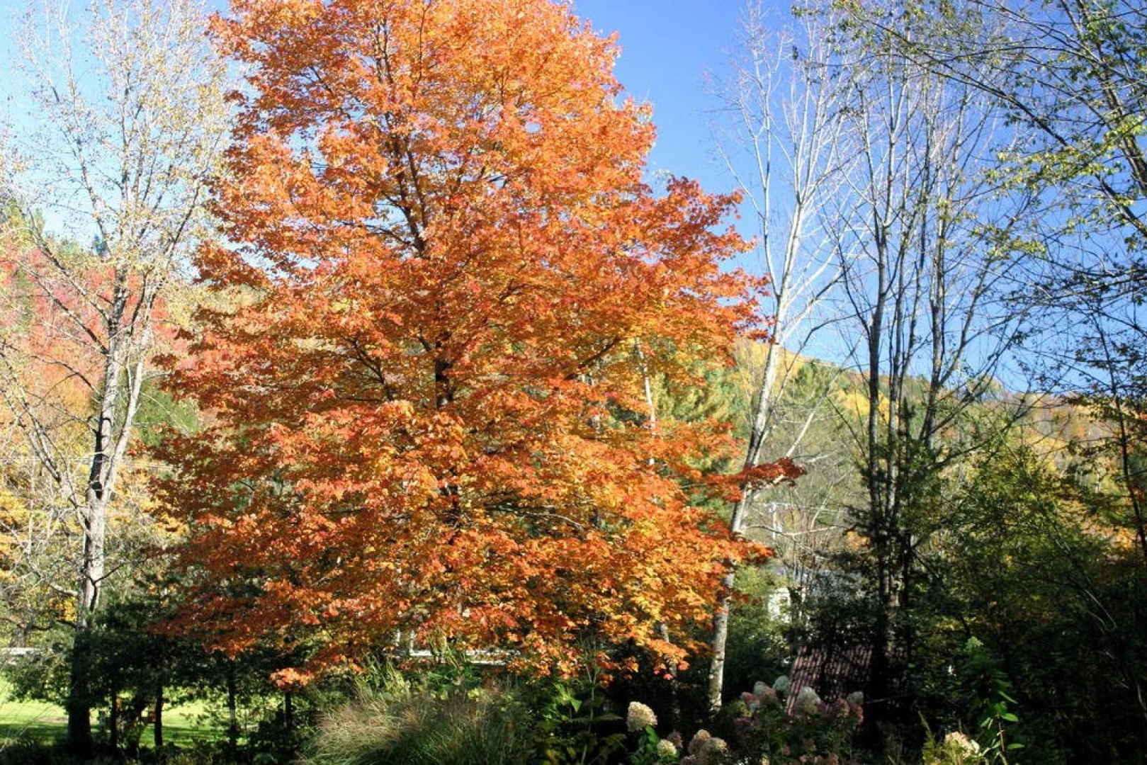 Weathertop Mountain Inn