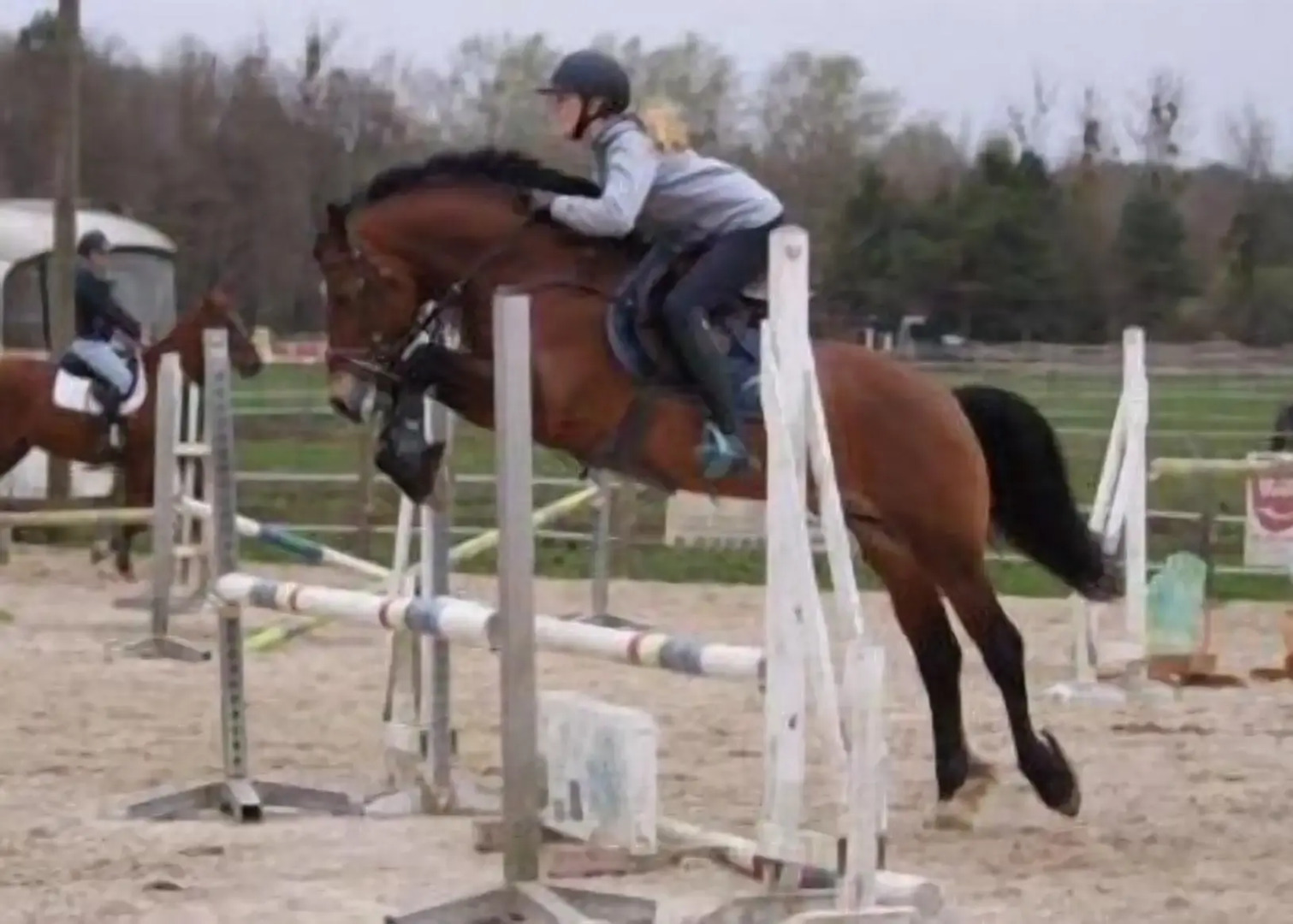 Domaine De La Gaucherie