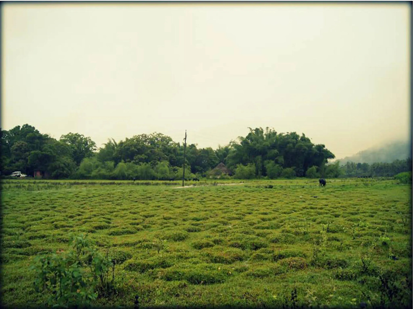 Elephant Route Resort