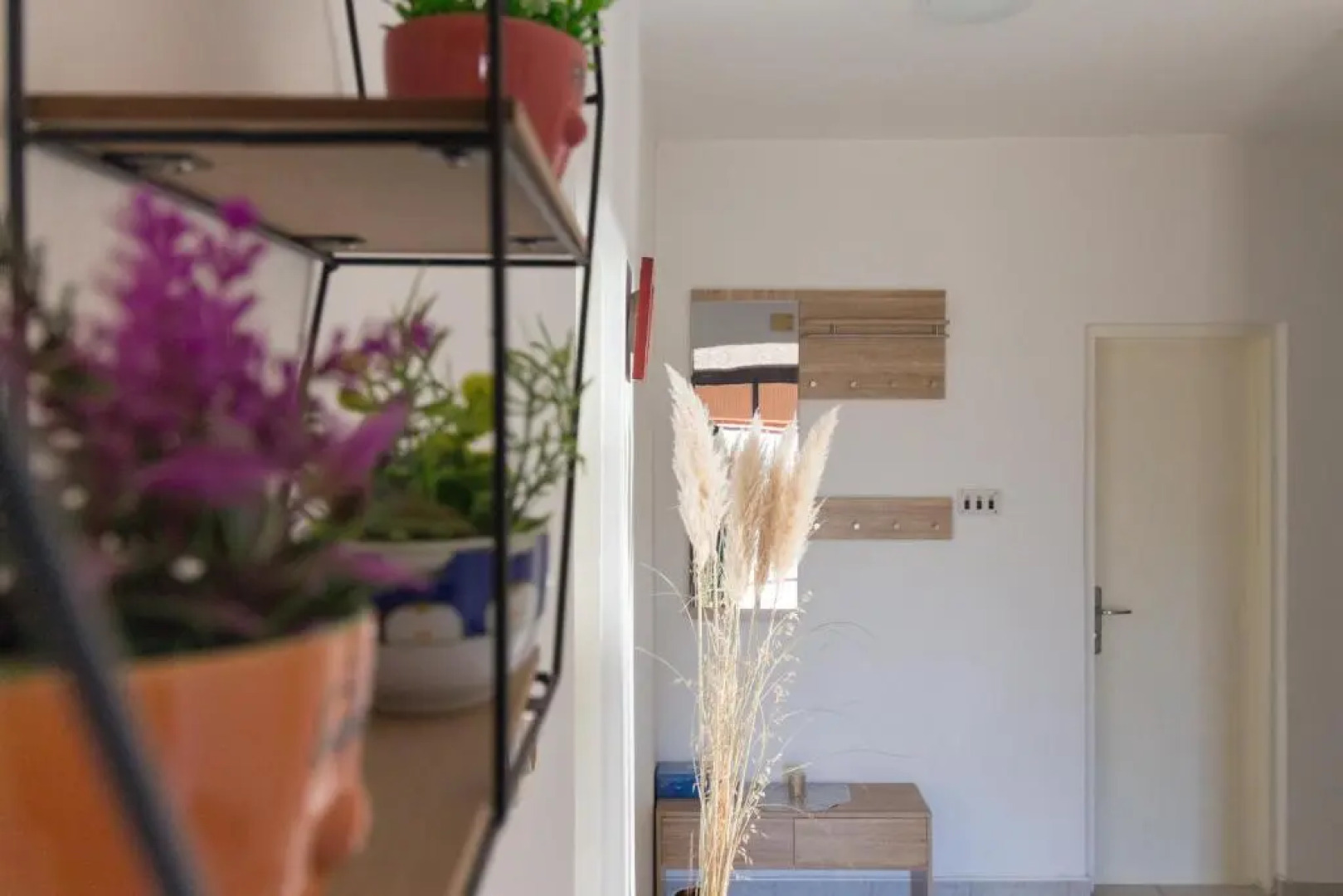 House Jasmin large garden, near Nin