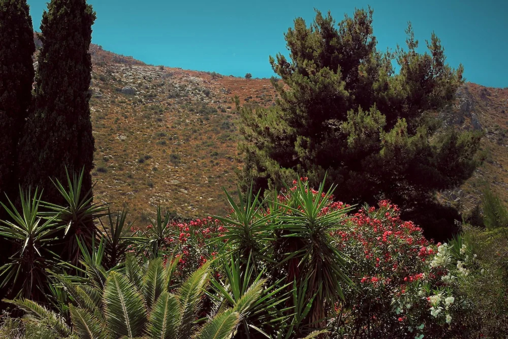 Villa Al Colle Dei Principi