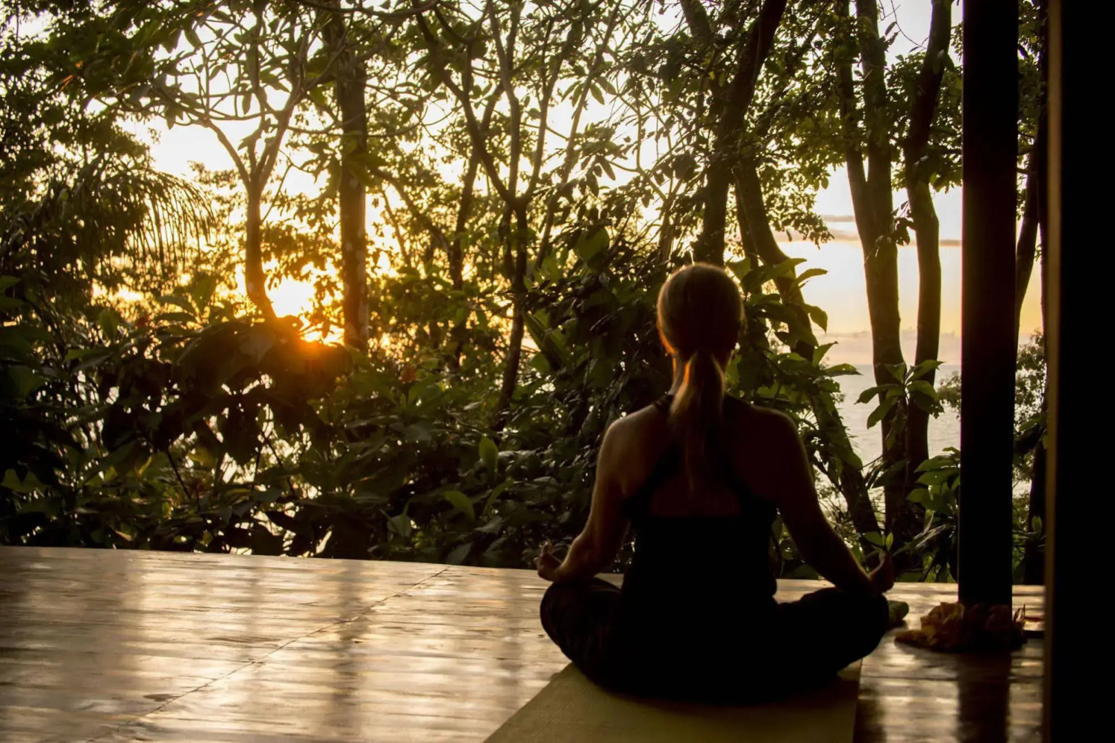 Tiskita Jungle Lodge