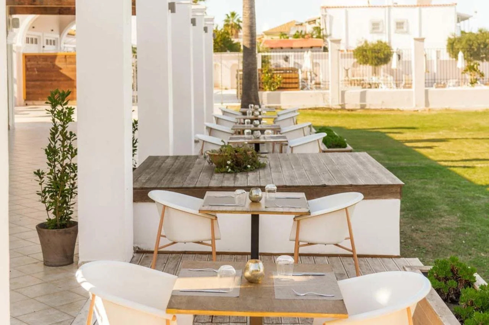 Olive Grove Beachfront Apartments & Suites