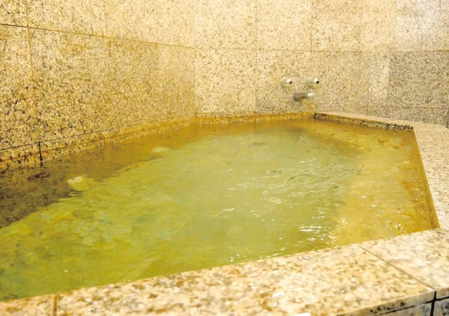 Homeikan Honkan / Daimachi Annex