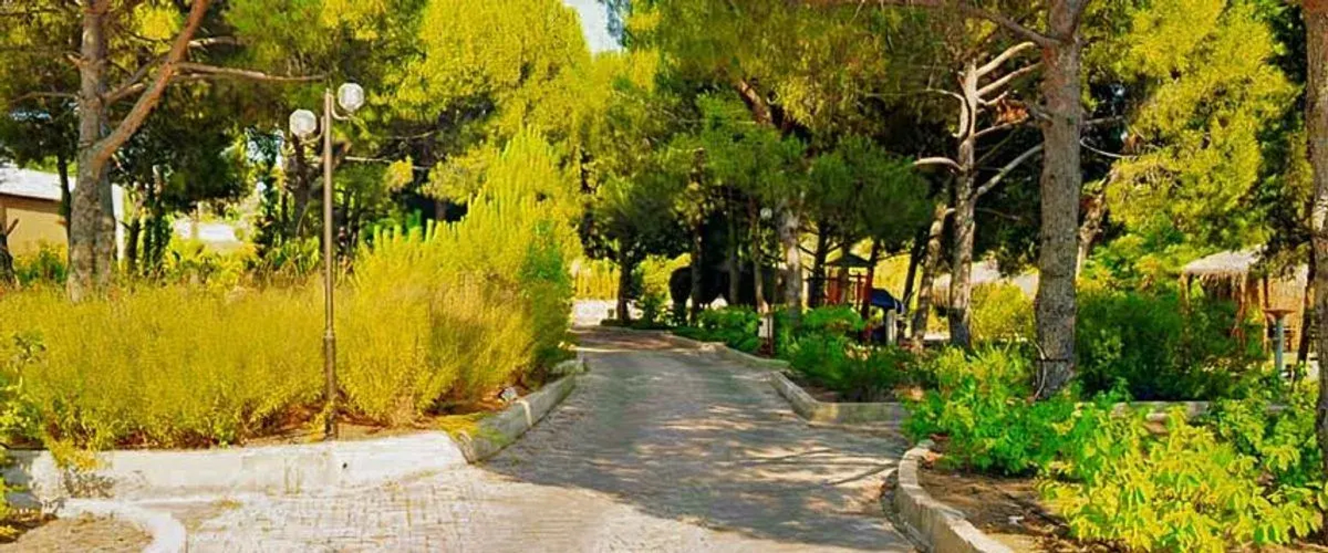 Elitium Thermal Hotel
