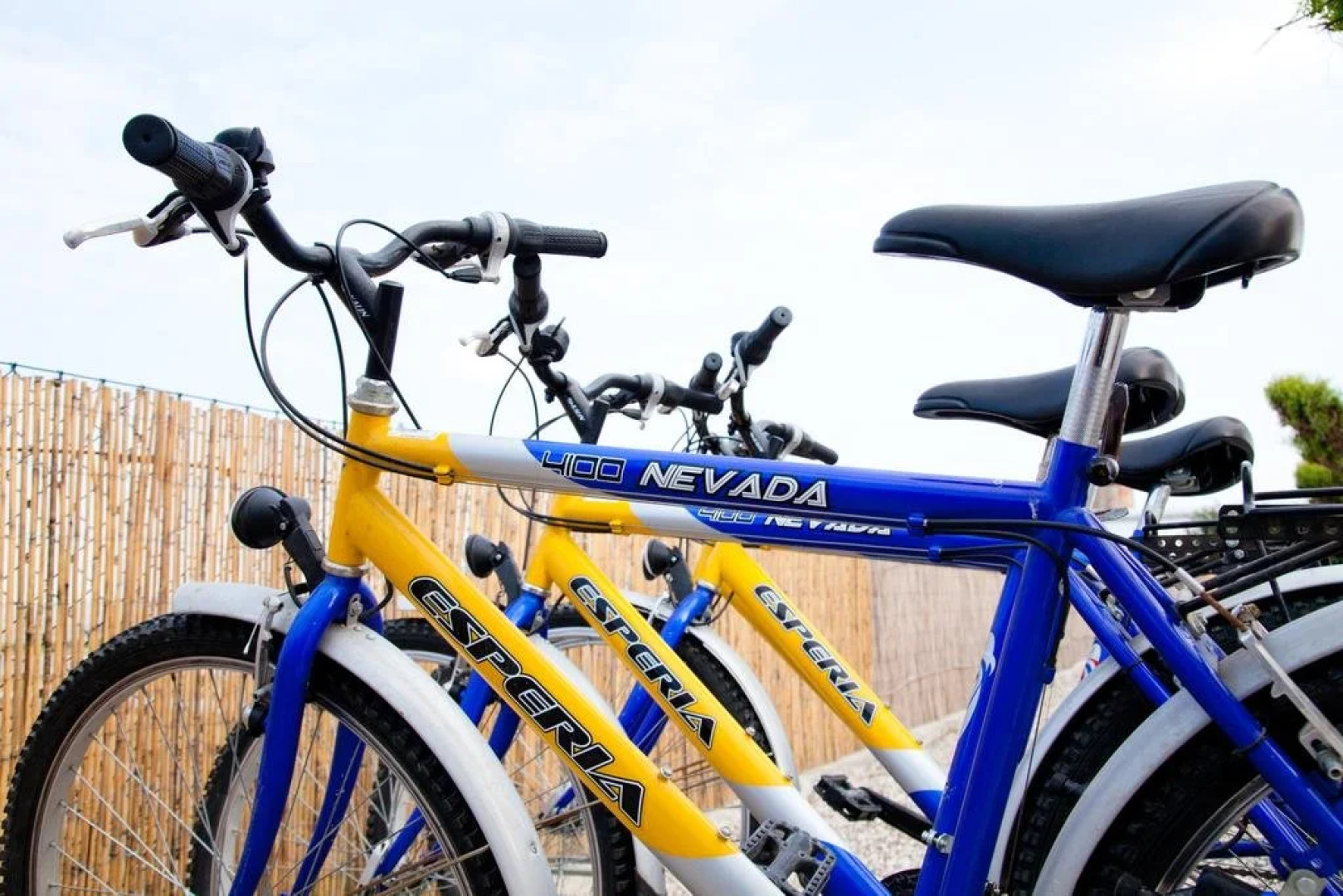 Room & Breakfast Basilico