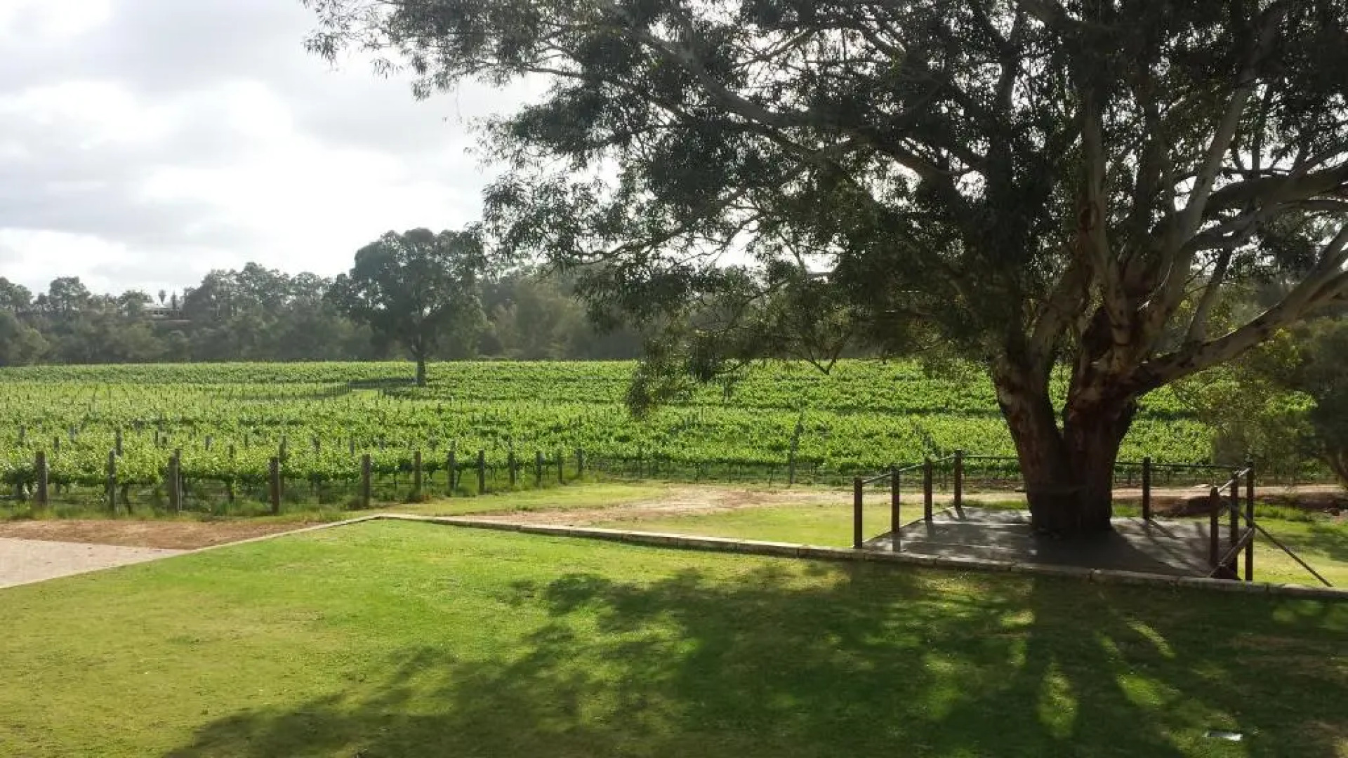Vineyard Cottage at Upper Reach Winery