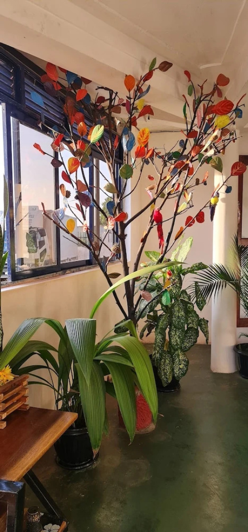 Northern Pearl Limited