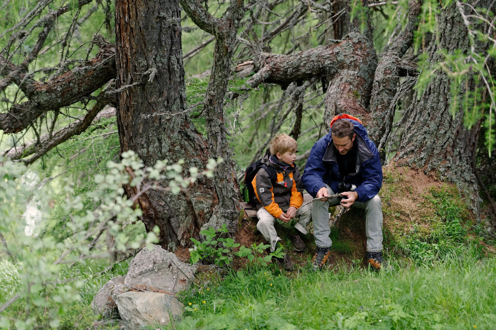Familienhotel Replerhof