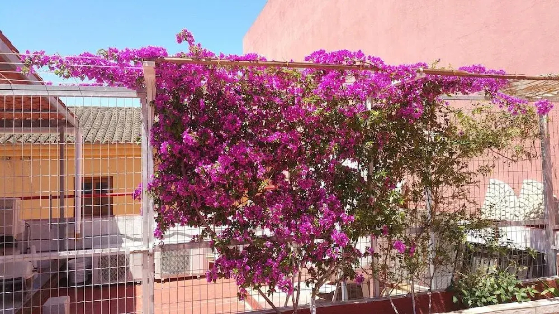 Sotel Valle Guadiaro