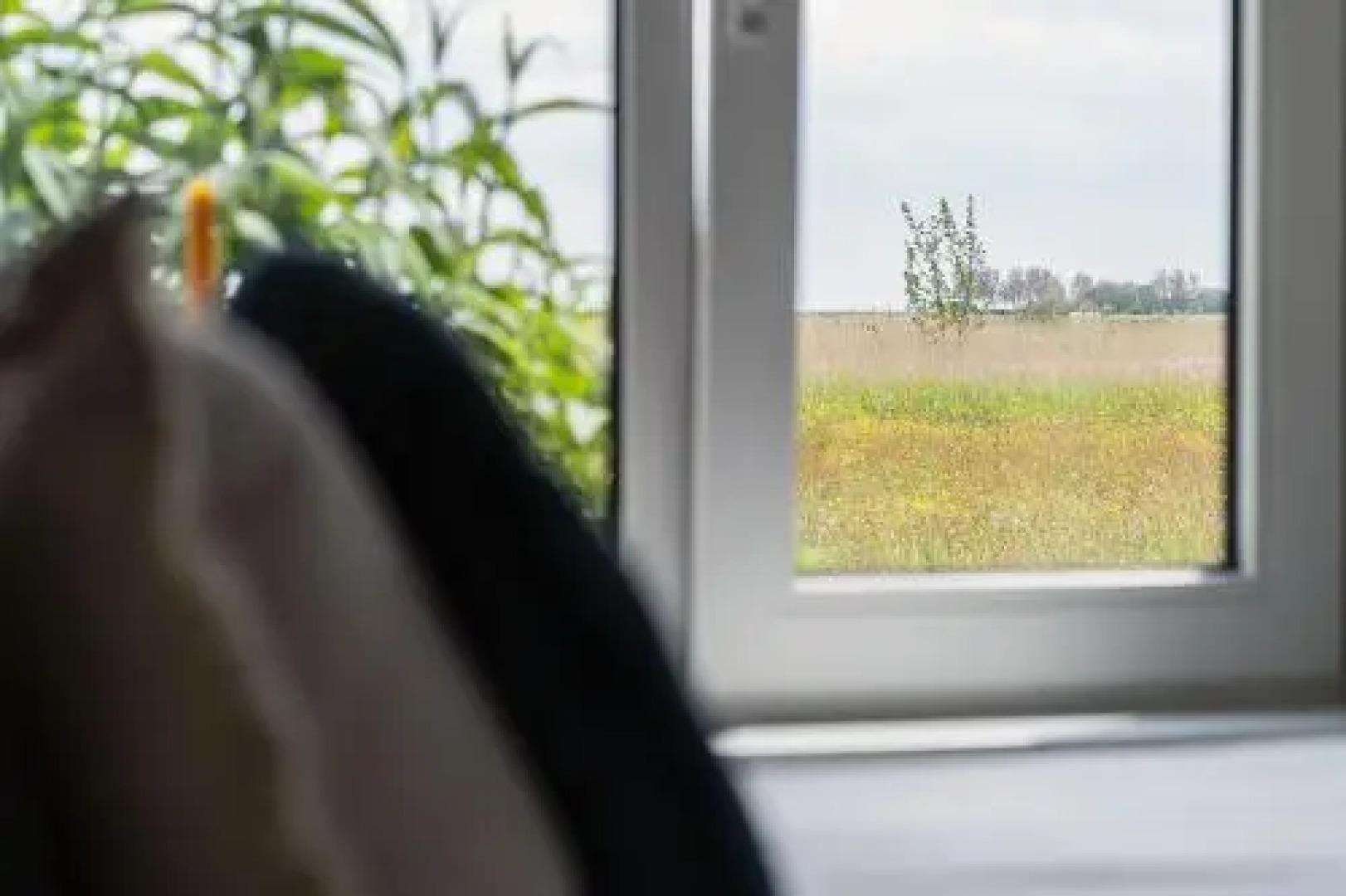 Hotel het Anker van Texel