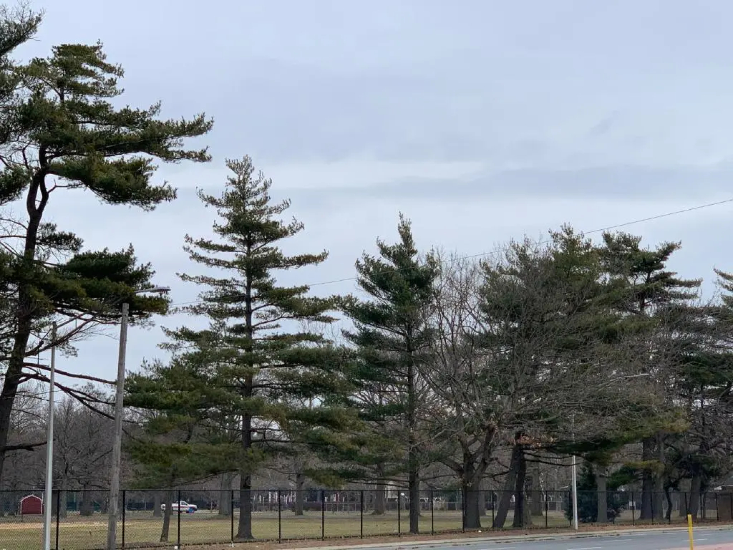 Coliseum Inn & Suites-Garden City Long Island