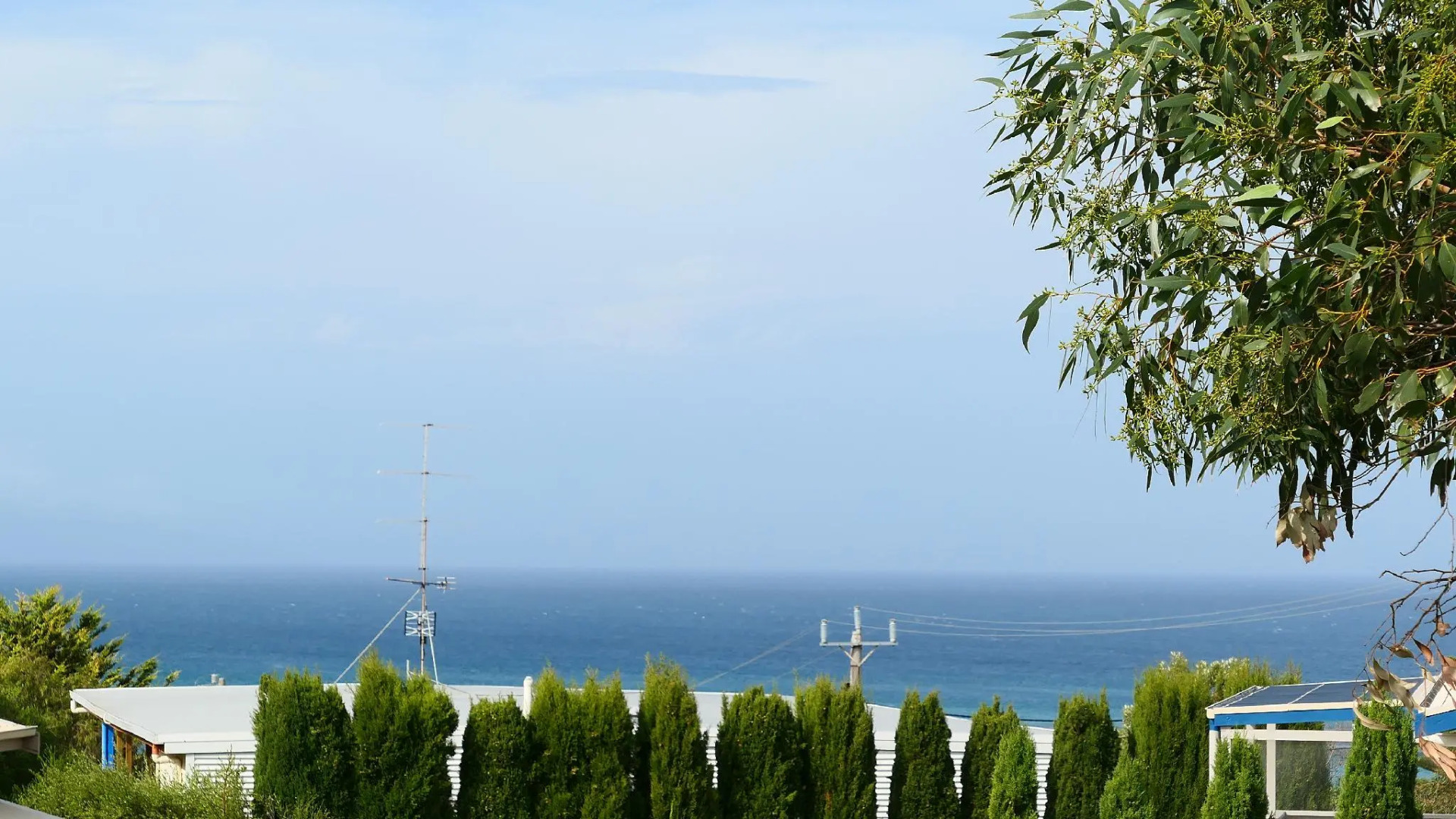 Apollo Bay Seal Apartments