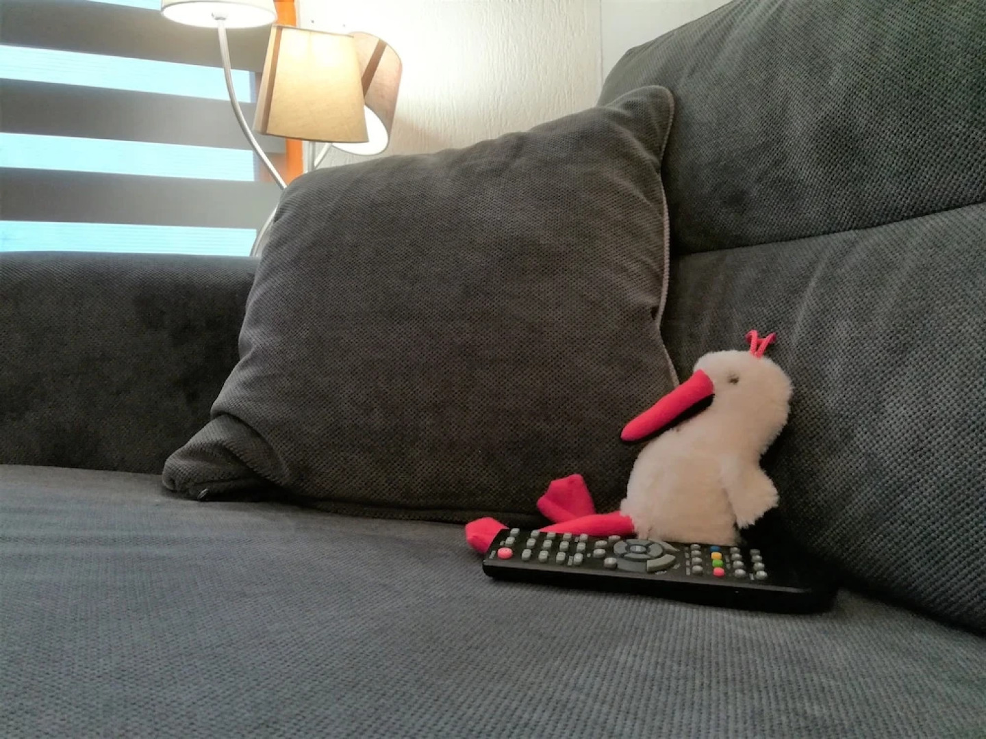 Le Cocon de Sainte Croix