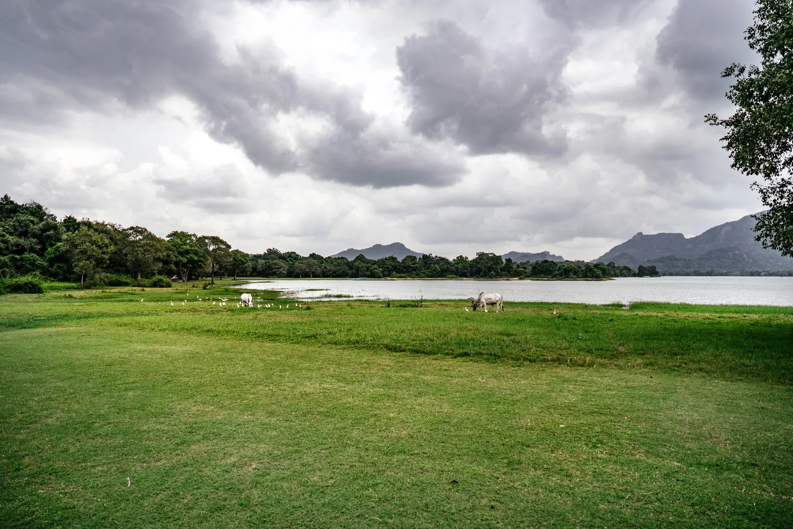 Курортный отель Amaya Lake Dambulla