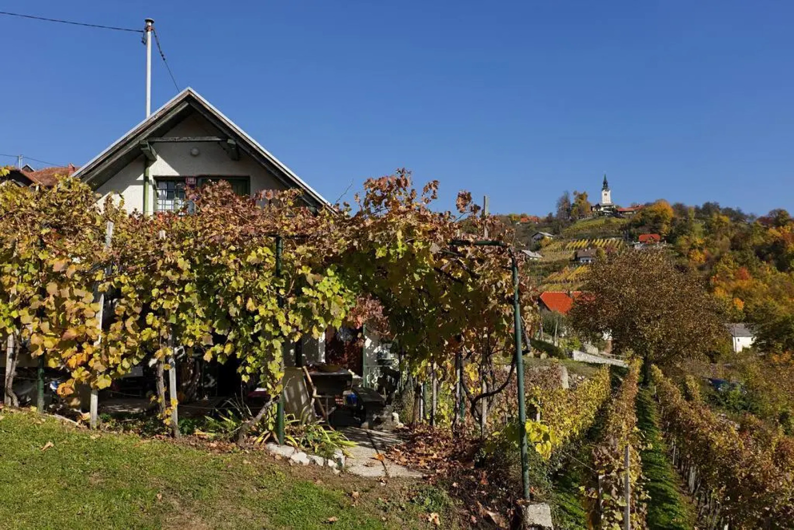 Vineyard cottage Verček