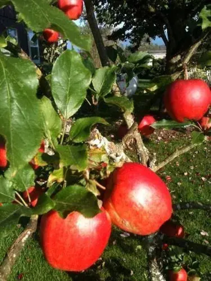 Sundara West Bed and Breakfast