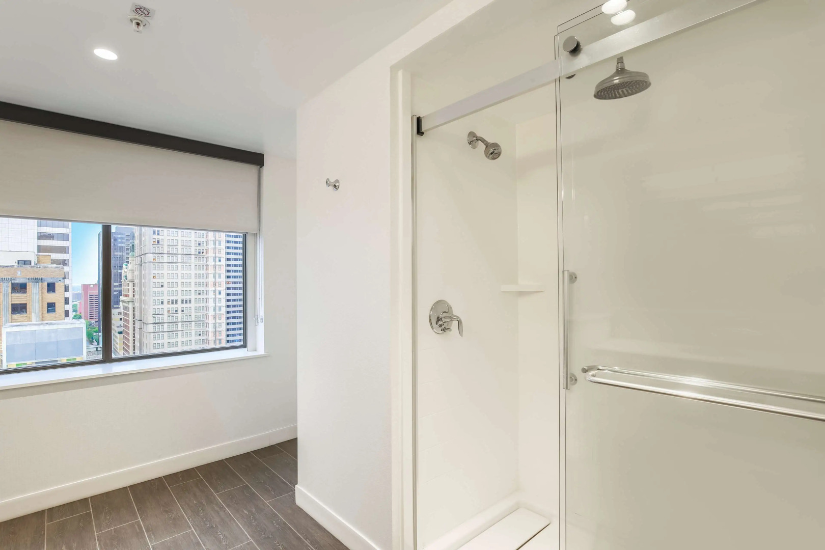 Hampton Inn & Suites Dallas Downtown