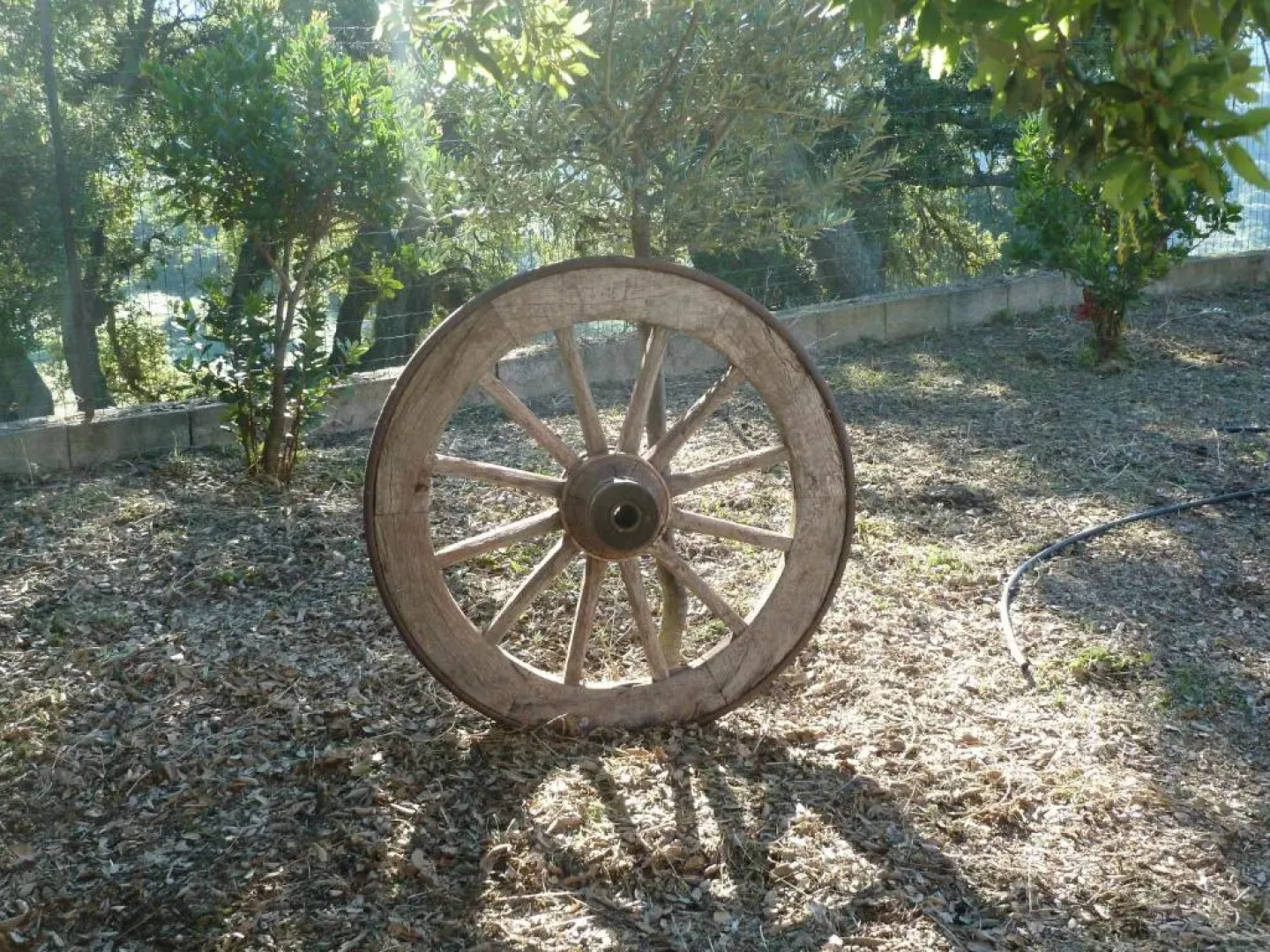 Agriturismo Vaddidulimu