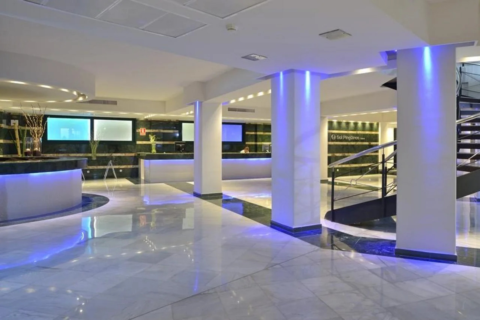 Sol Milanos Pingüinos