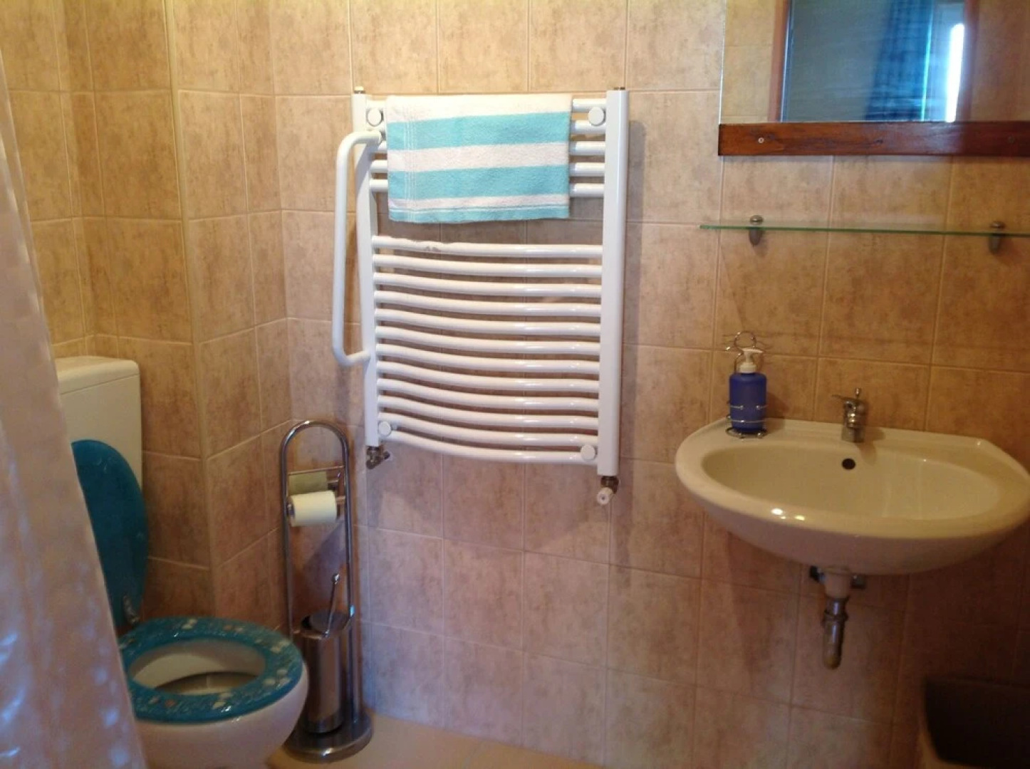 Vacation house for more than family