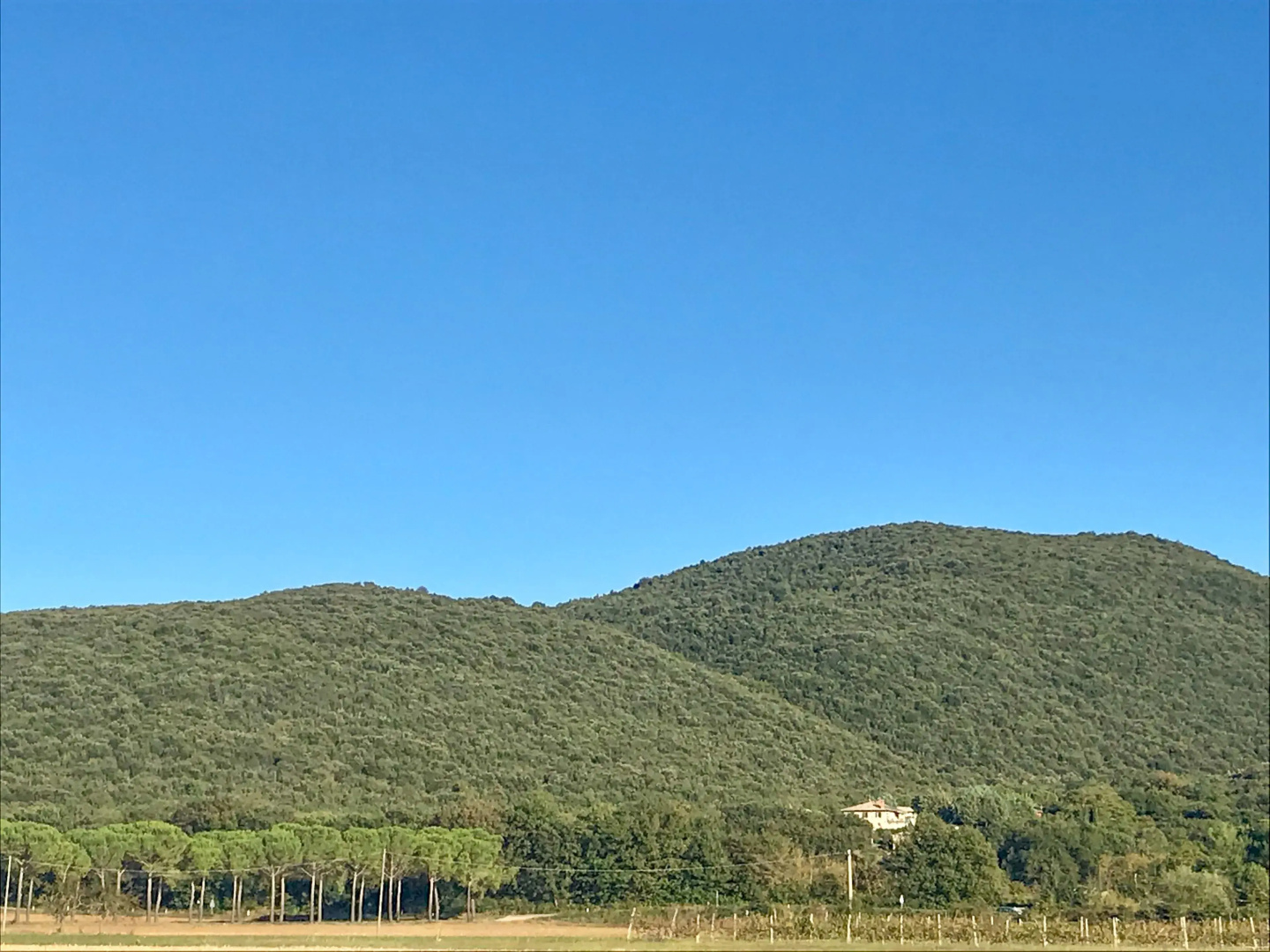 Le case di Lisetta