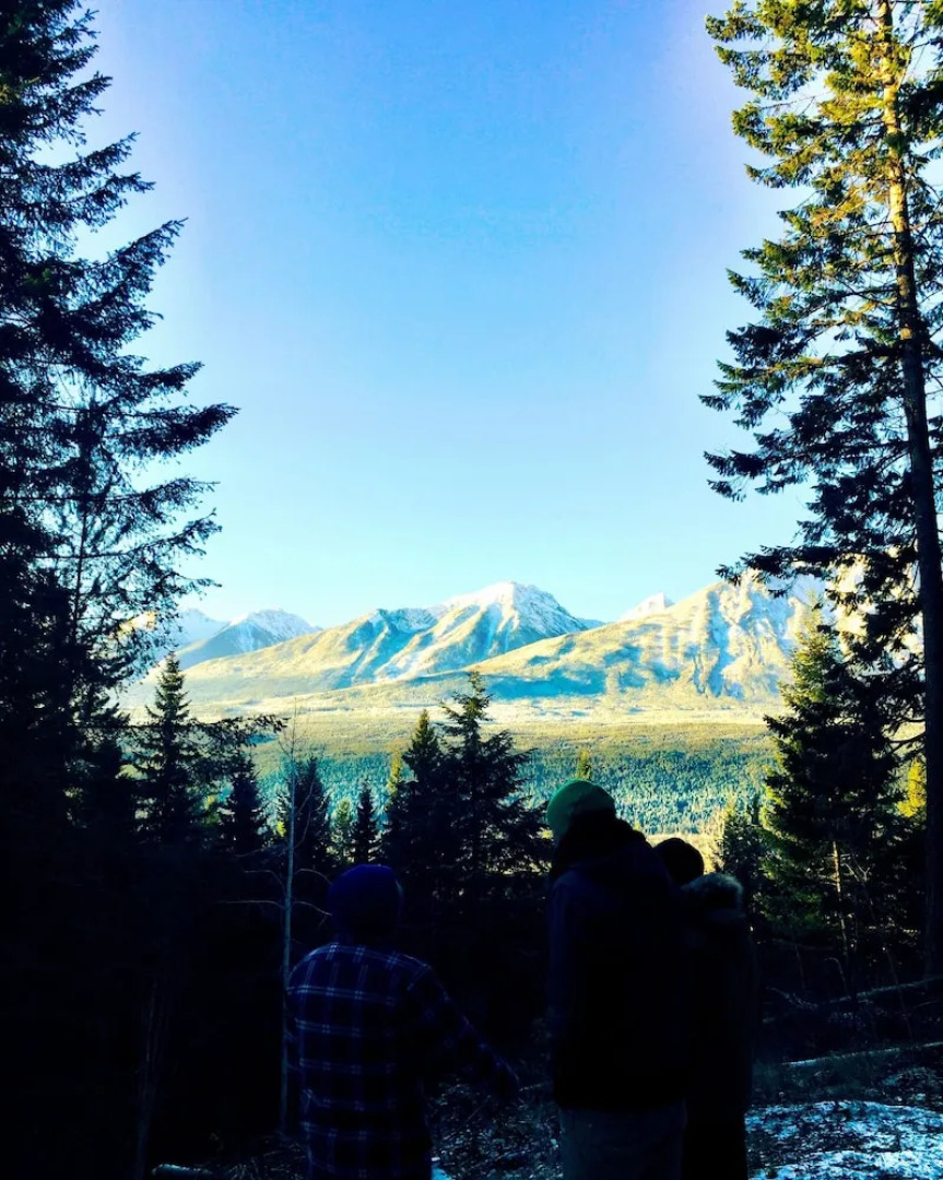 Mountain View Cabins