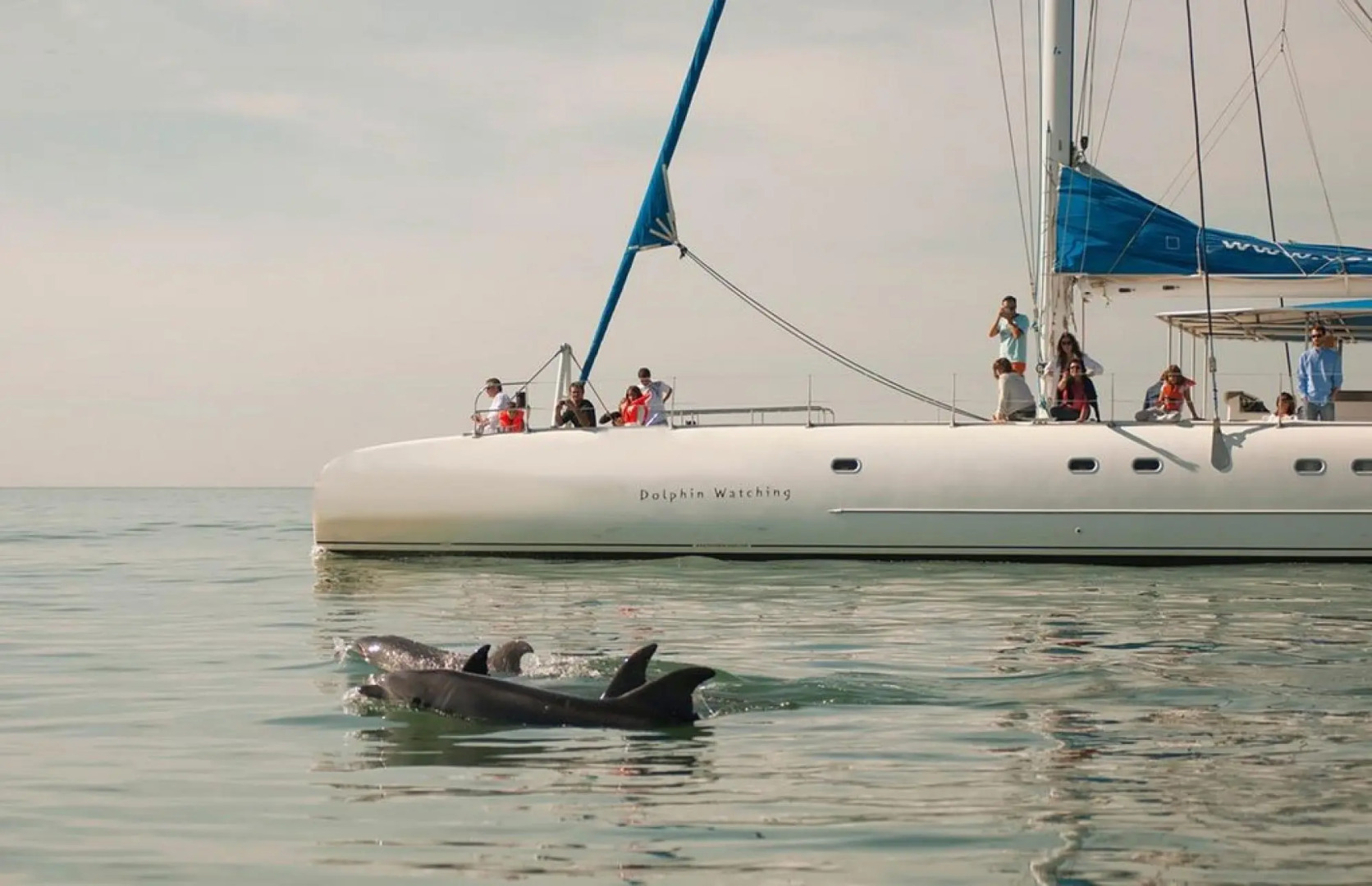 Villa Comporta (AL) in Comporta