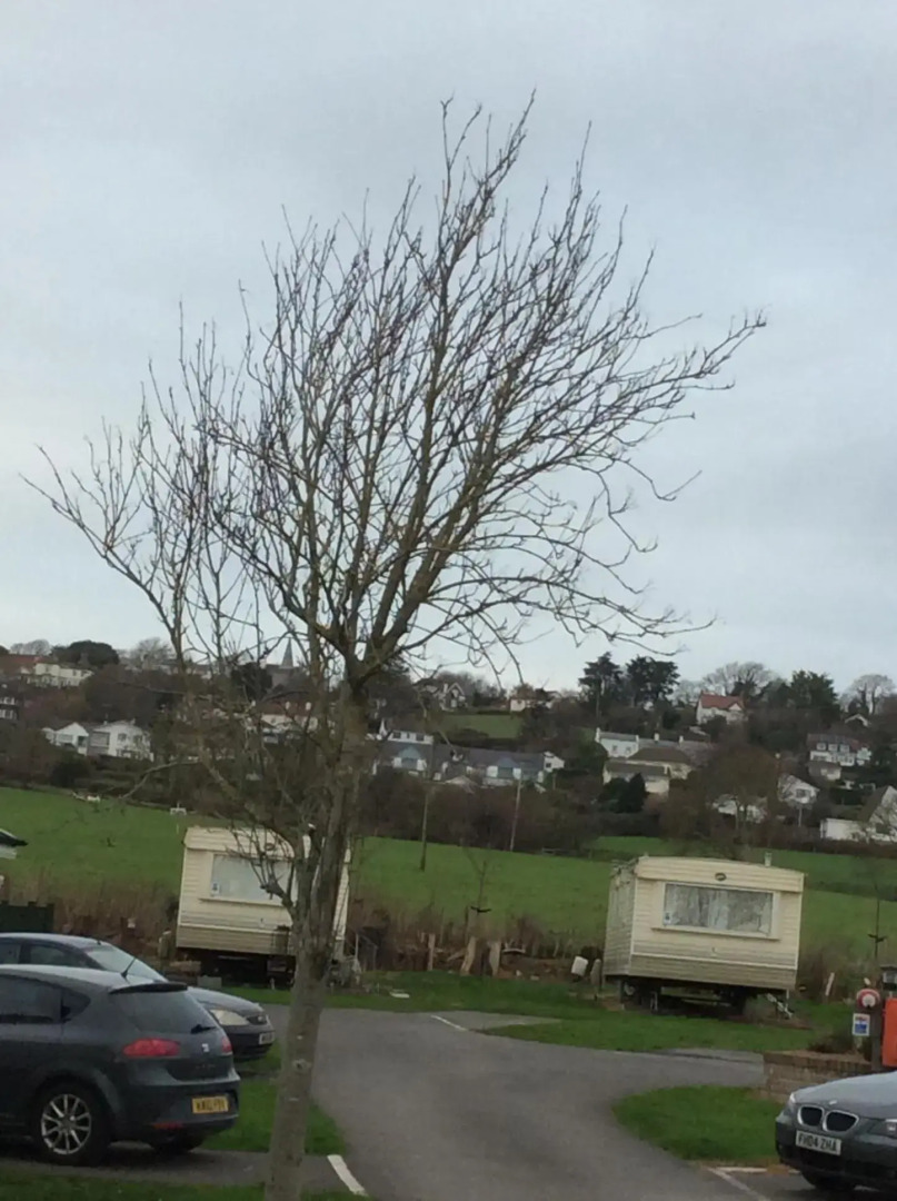 Tarka holiday park, 5A