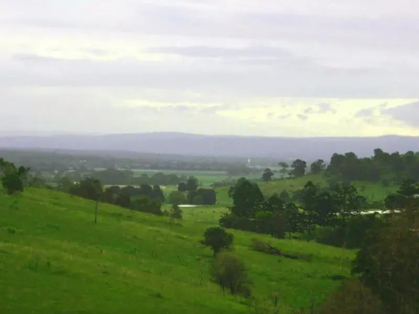 Branell Homestead Bed and Breakfast