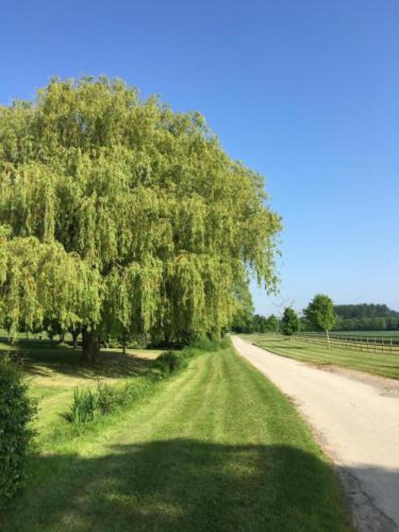 Boddingtons Barn @ Norton Grounds