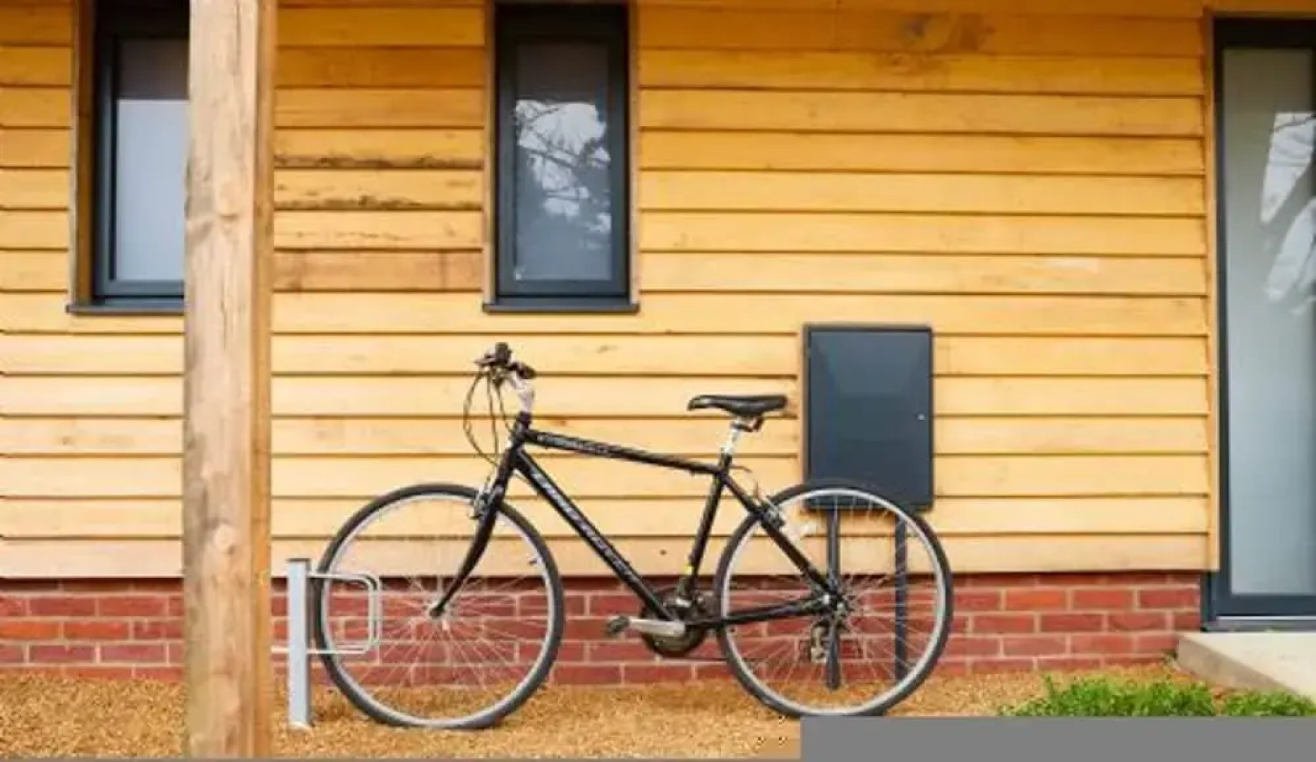 Host Stay Number One Piglets