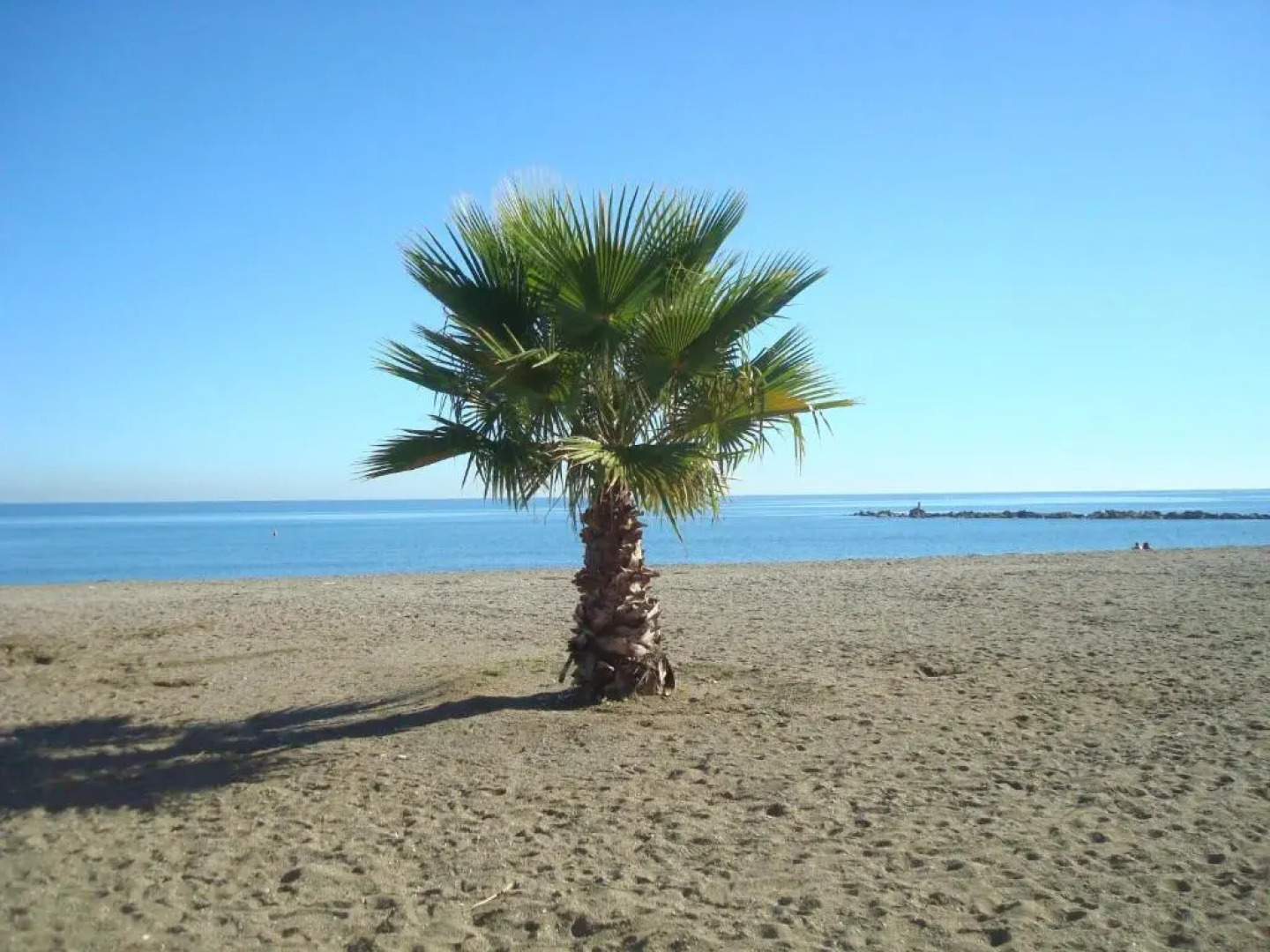 2252-Amazing apt on beach, port view from terrace!