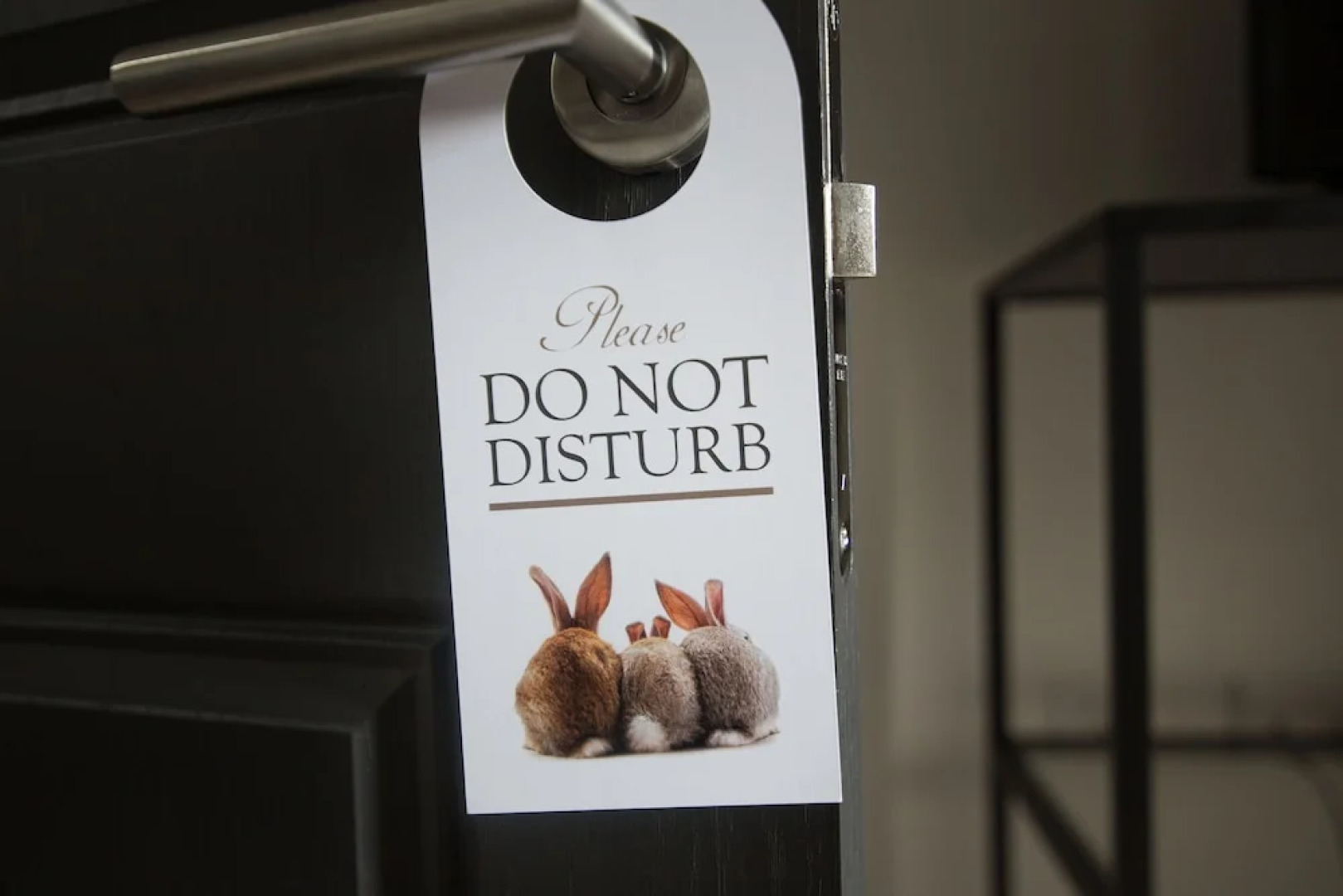 The Burrow City Rooms (Homestay)